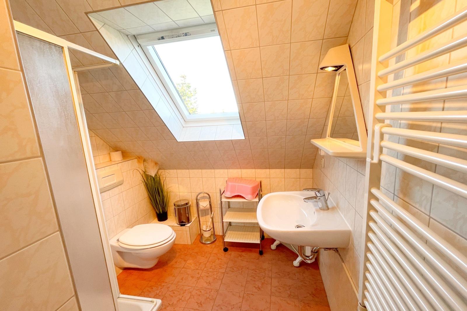 Badezimmer mit Dusche, Toilette, Waschbecken und Dachfenster.