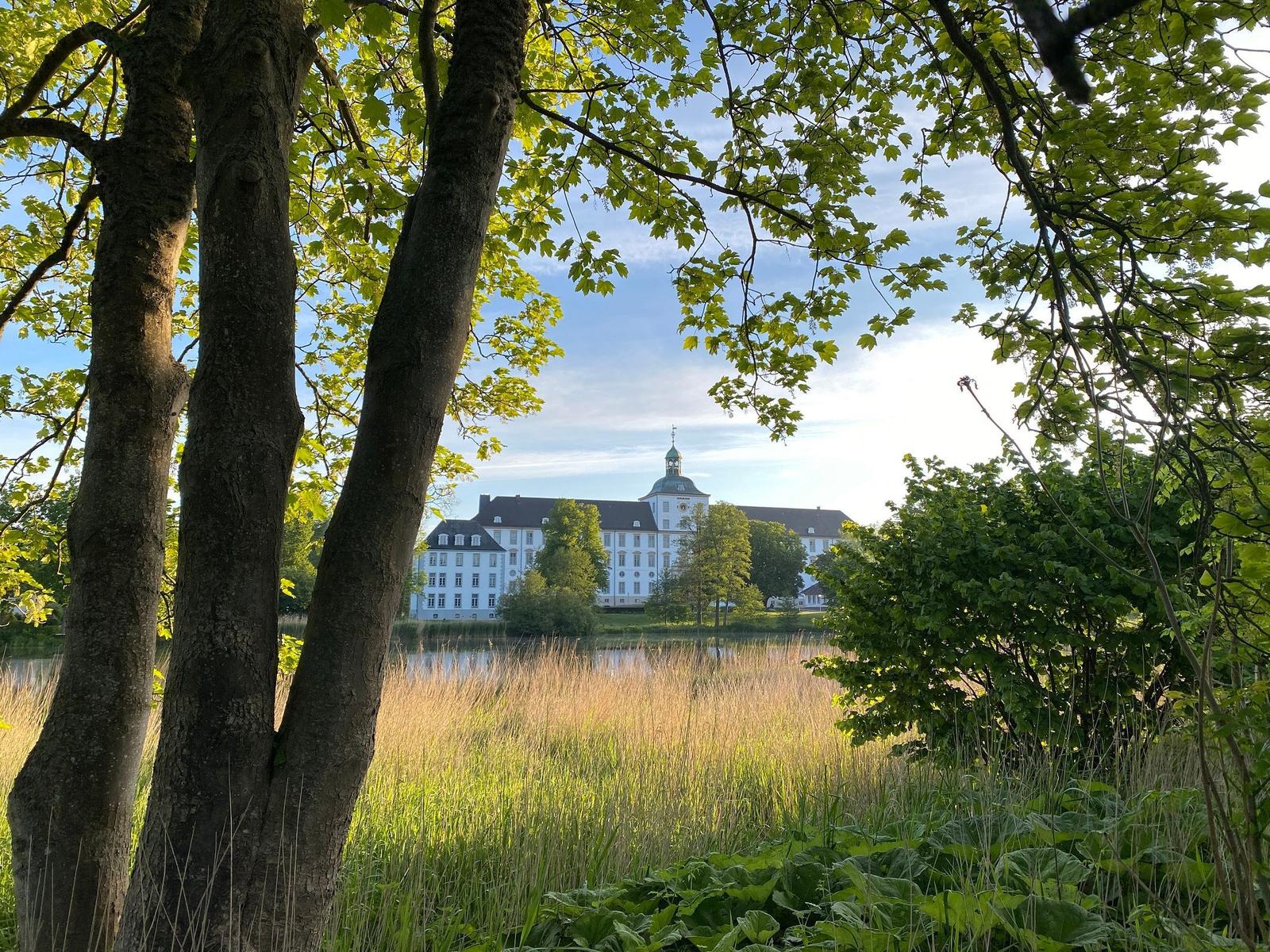 Schloss mit Turm hinter Wasser und Gras, umrahmt von Bäumen.