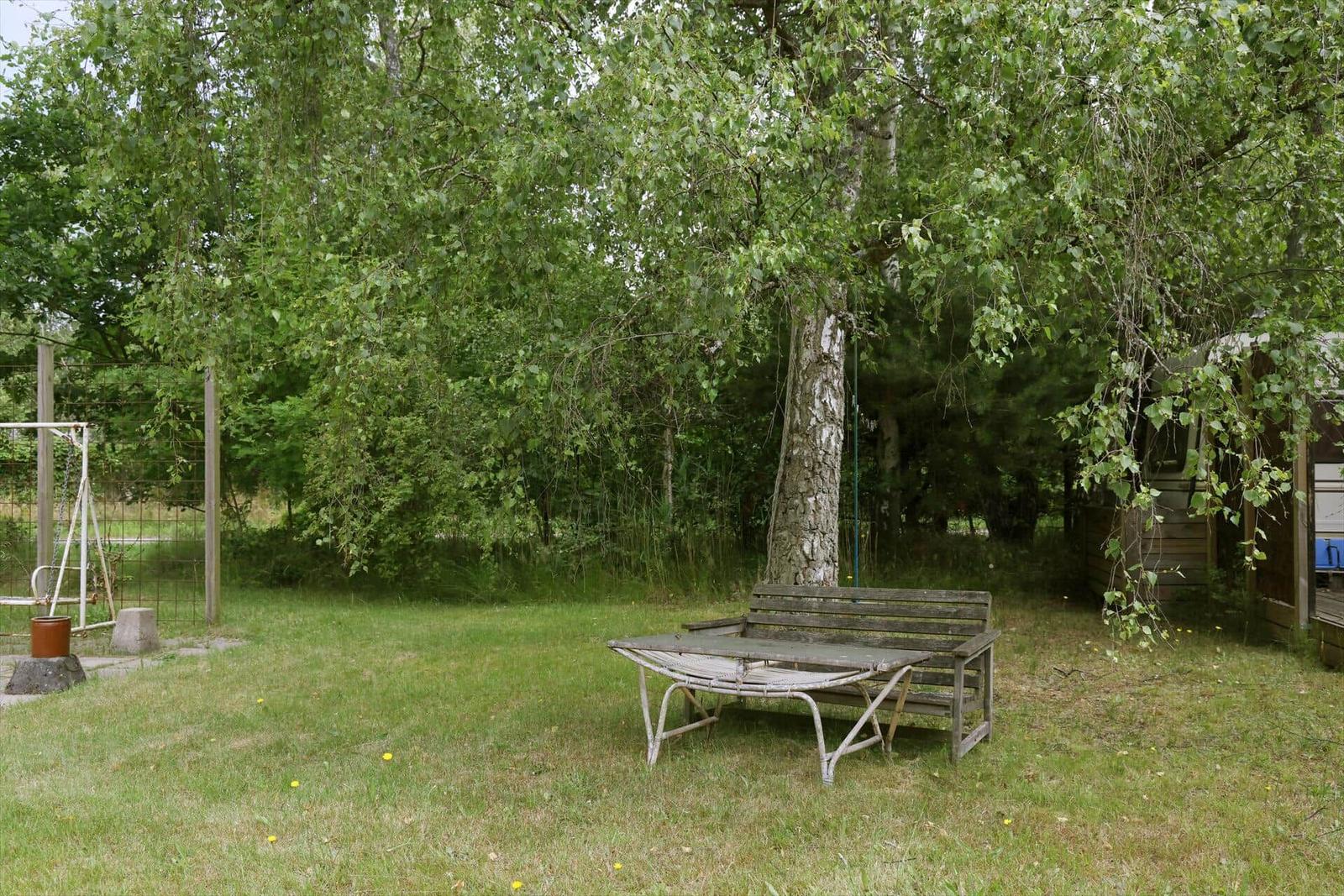 Hinterhof mit Holzbank, Bäumen und Grasfläche