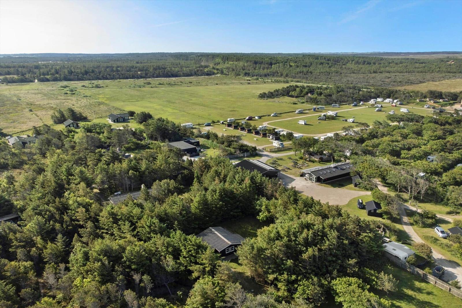 Luftbild eines Campingplatzes mit Wohnmobilen und Bäumen