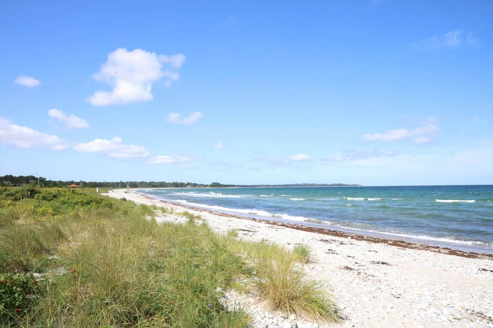 Beach with white stones and green vegetation along the shore.