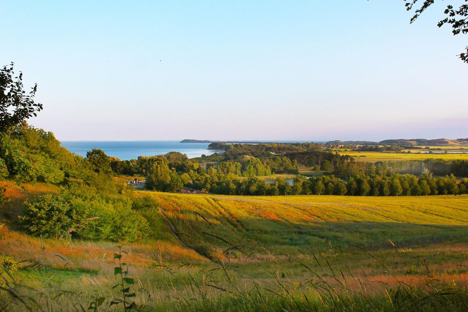 Panorama über Felder, Bäume und Meer unter klarem Himmel.