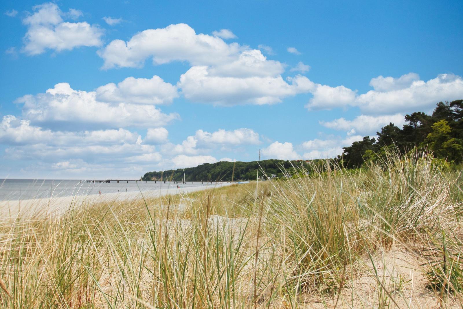 Strand mit Dünen und bewölktem Himmel. Im Hintergrund See und Wald.