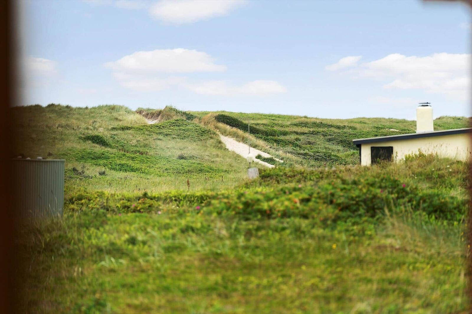 Haus mit weißem Schornstein zwischen grünen Dünen und einem sandigen Pfad.