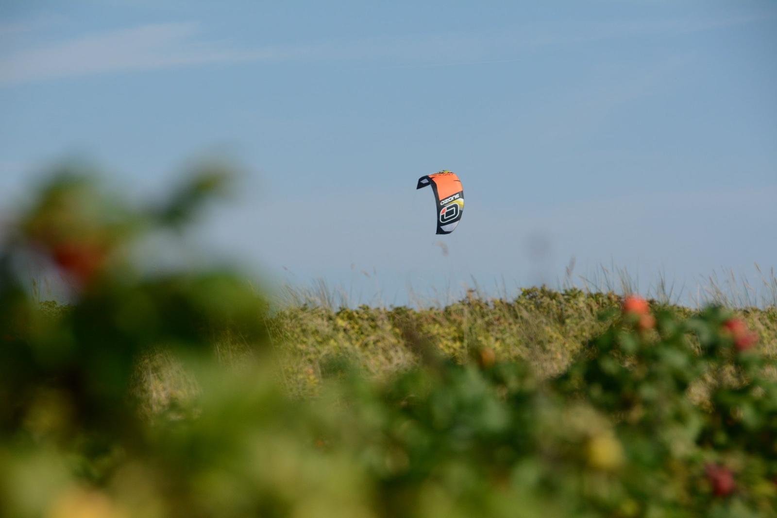 Ein Kite fliegt über eine grüne Landschaft unter blauem Himmel.