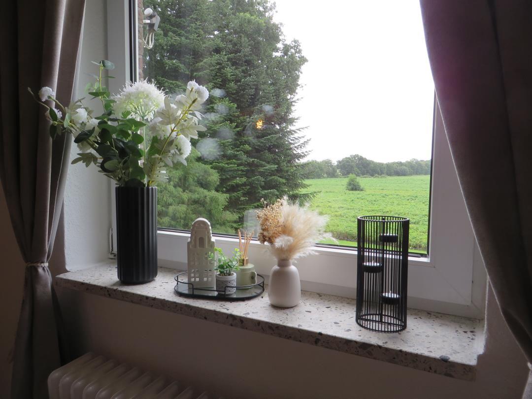 Fensterbrett mit Blumen, Pflanzen und Dekorationsgegenständen. Blick auf grünes Feld und Bäume.