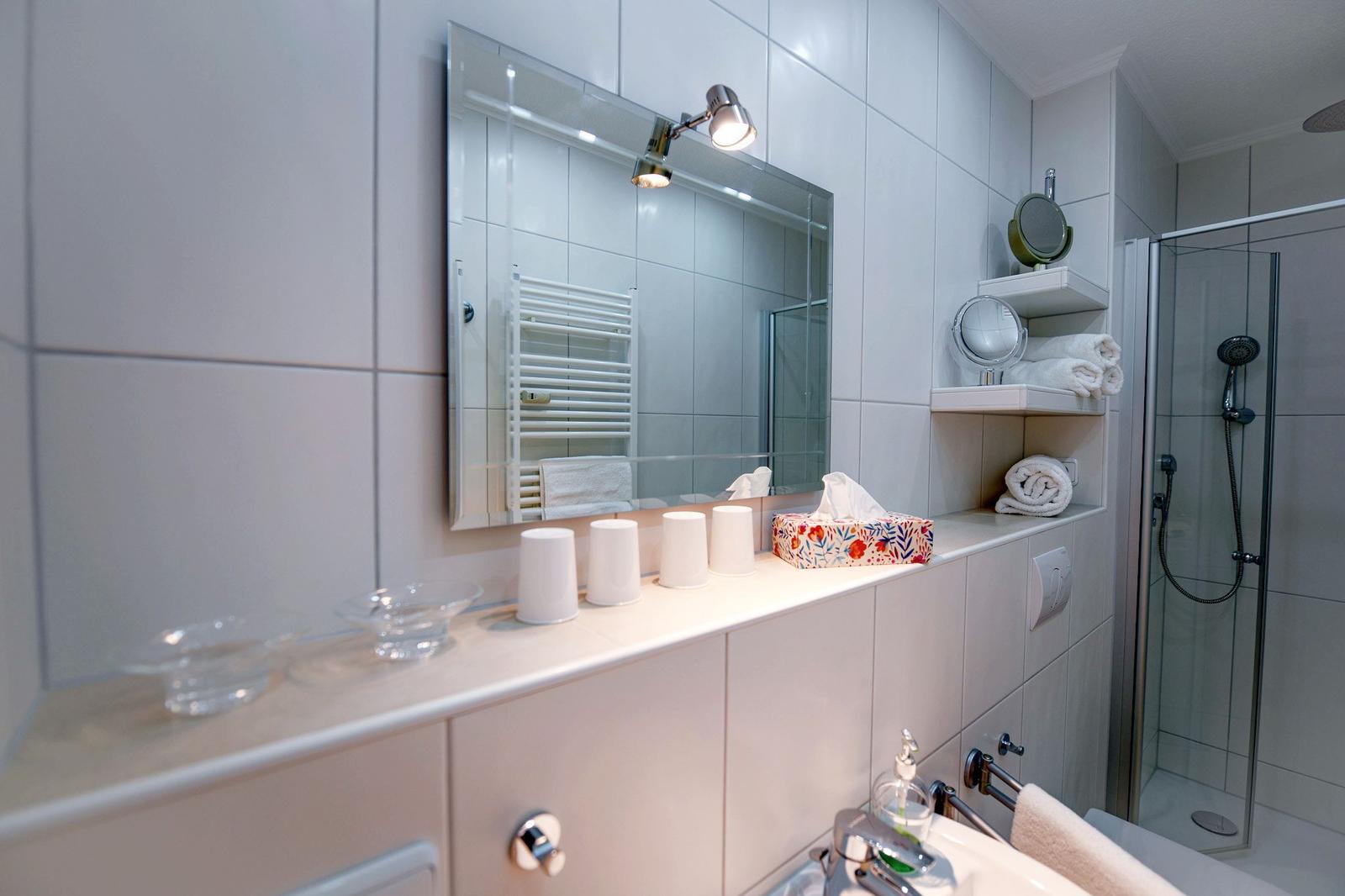 Badezimmer mit Spiegel, Dusche und Handtuchhalter