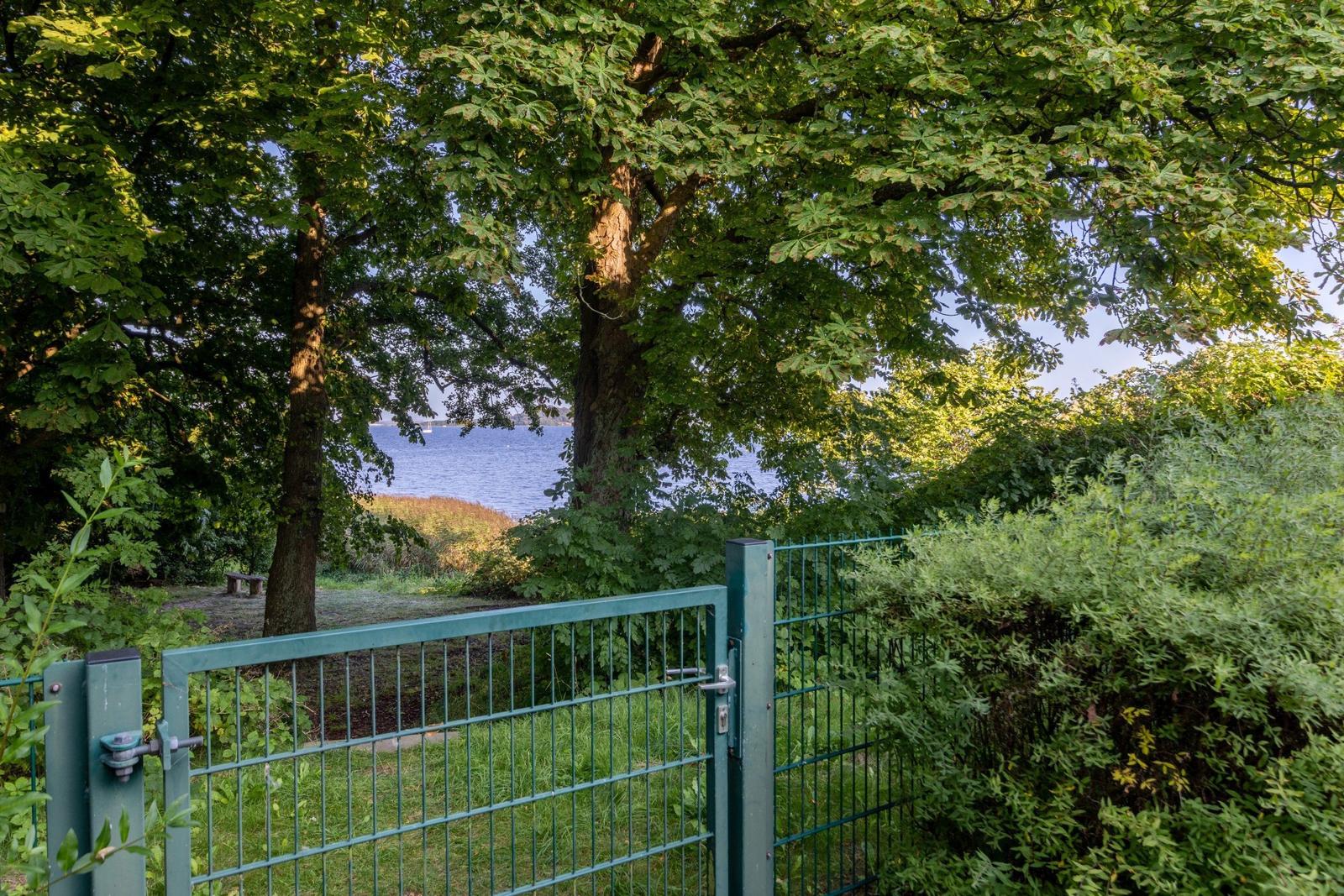 Grüner Zaun führt zu einem Blick auf einen See durch Bäume.