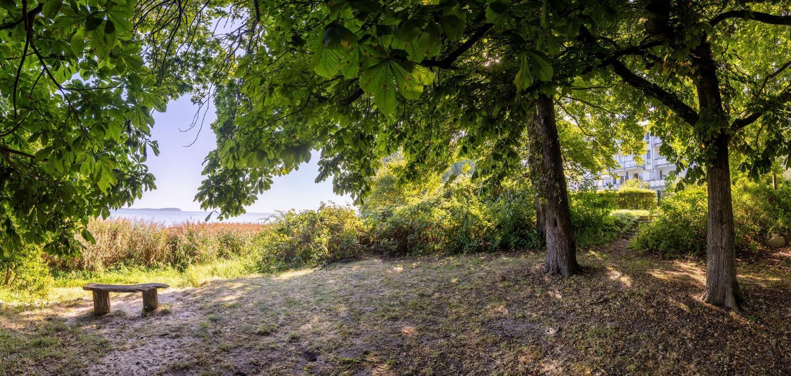 Holzbank unter Bäumen mit Blick auf Wasser und Ferienhaus.