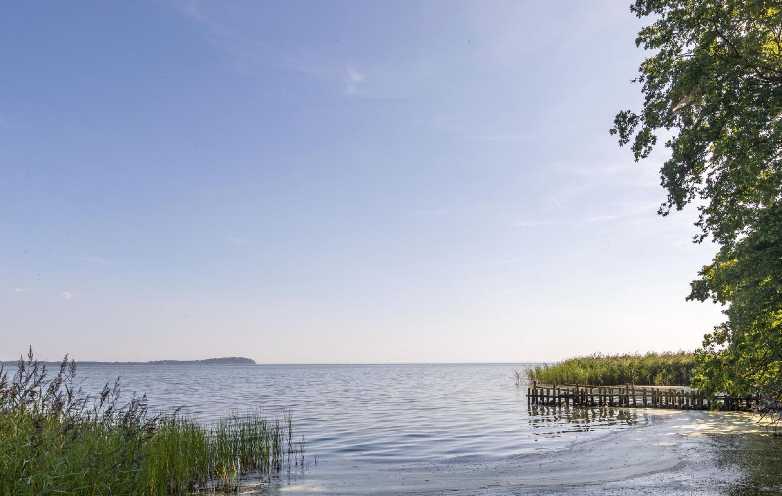 Seeufer mit Gräsern, Holzsteg und Baum. Blick auf die gegenüberliegende Uferseite.