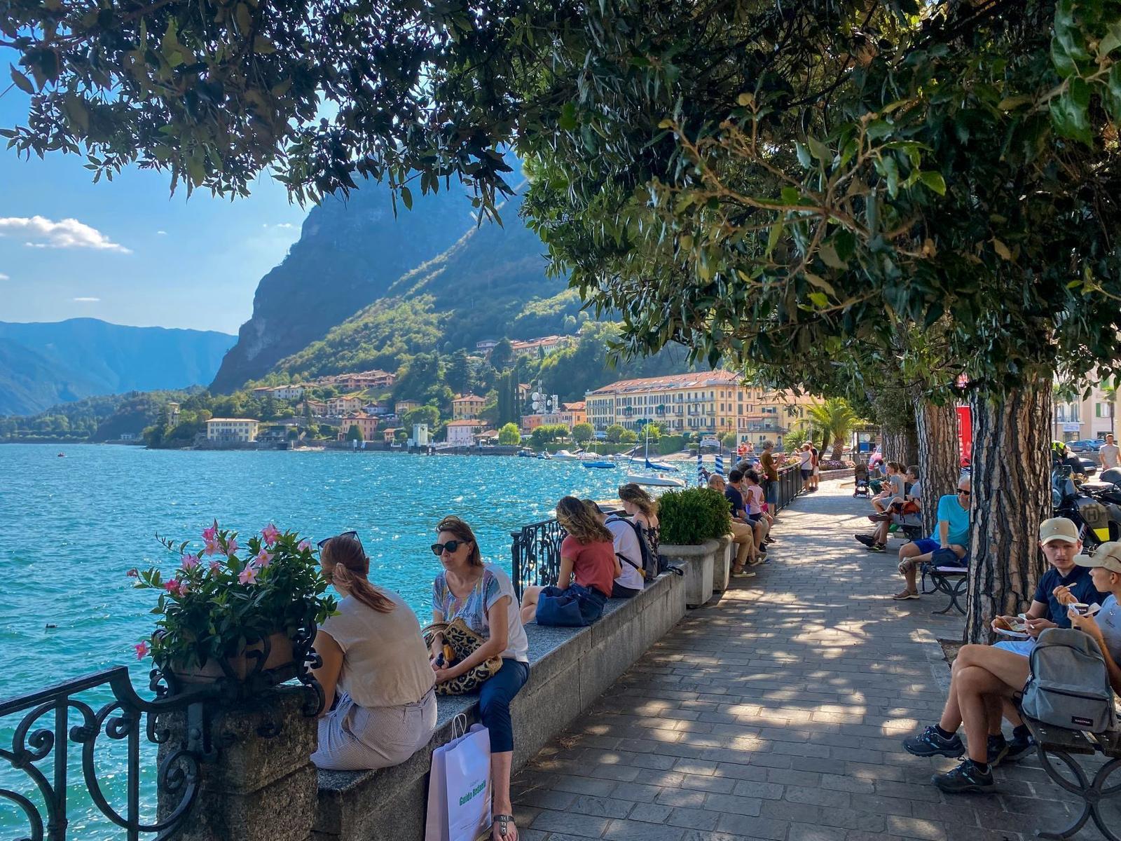 Guests enjoy the lakeside view under trees.