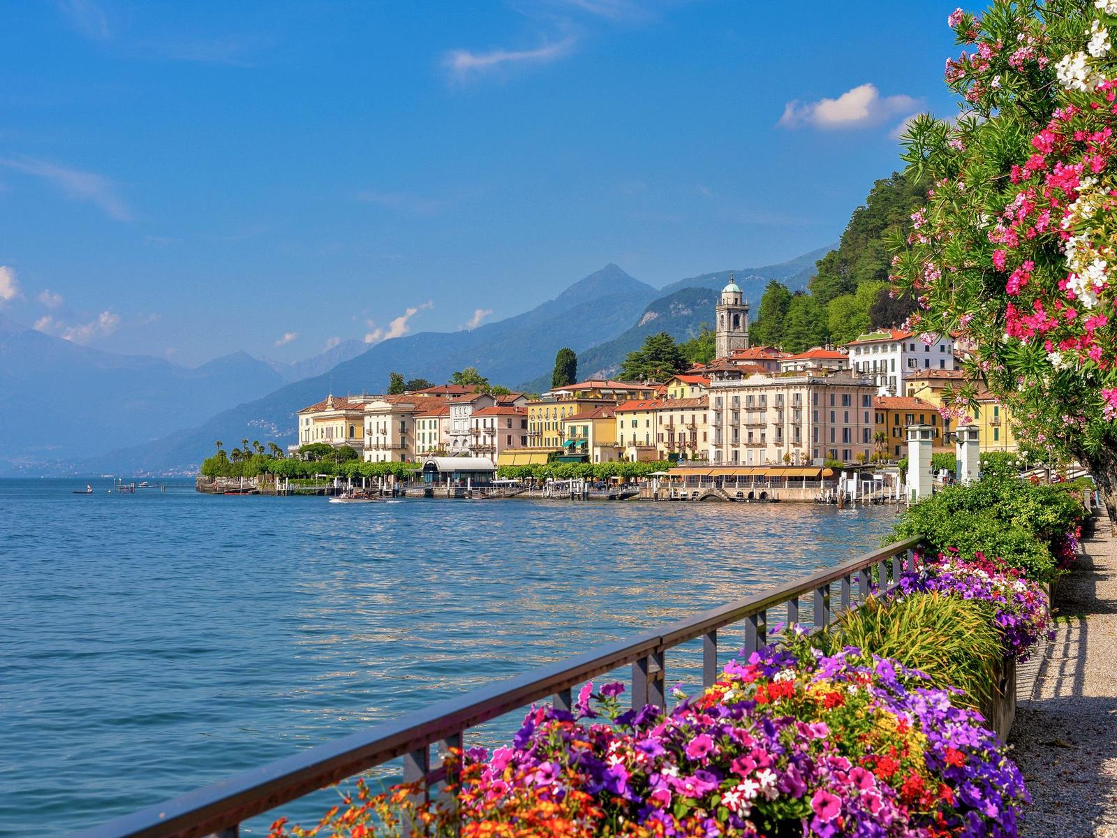 Beautiful view of a lake with a village on the shore and blooming plants in the foreground.