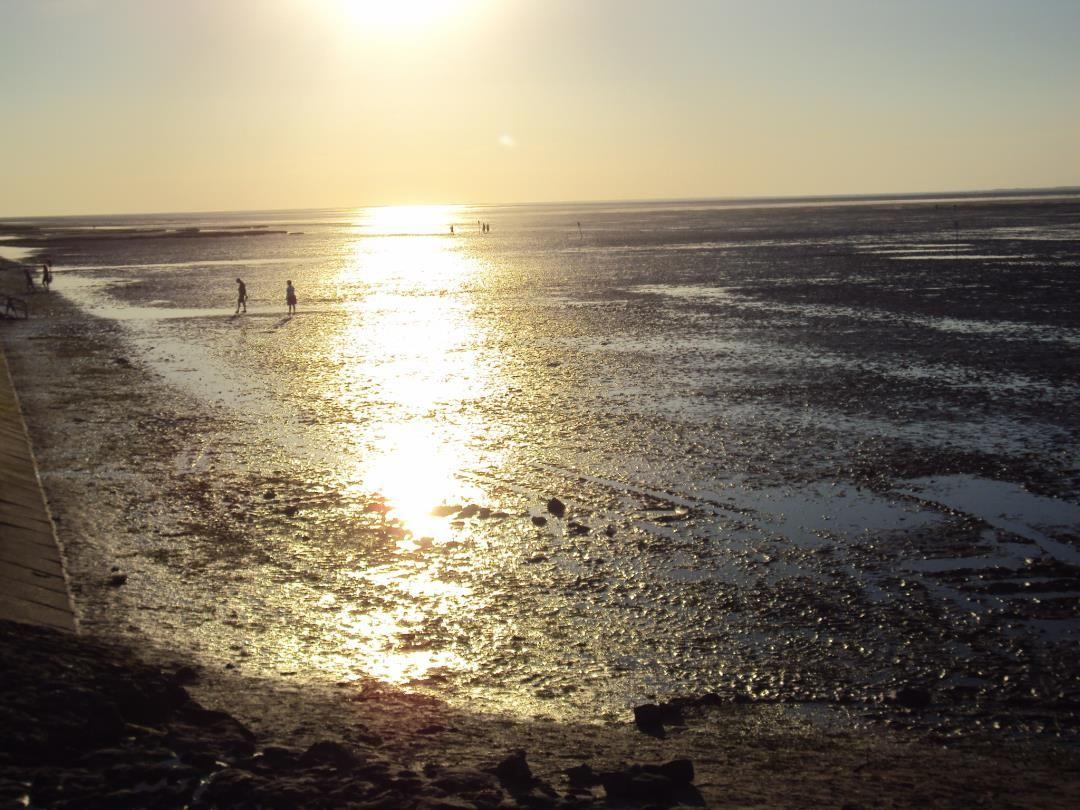 Sonnenuntergang über Wattlandschaft mit Menschen, die spazieren.
