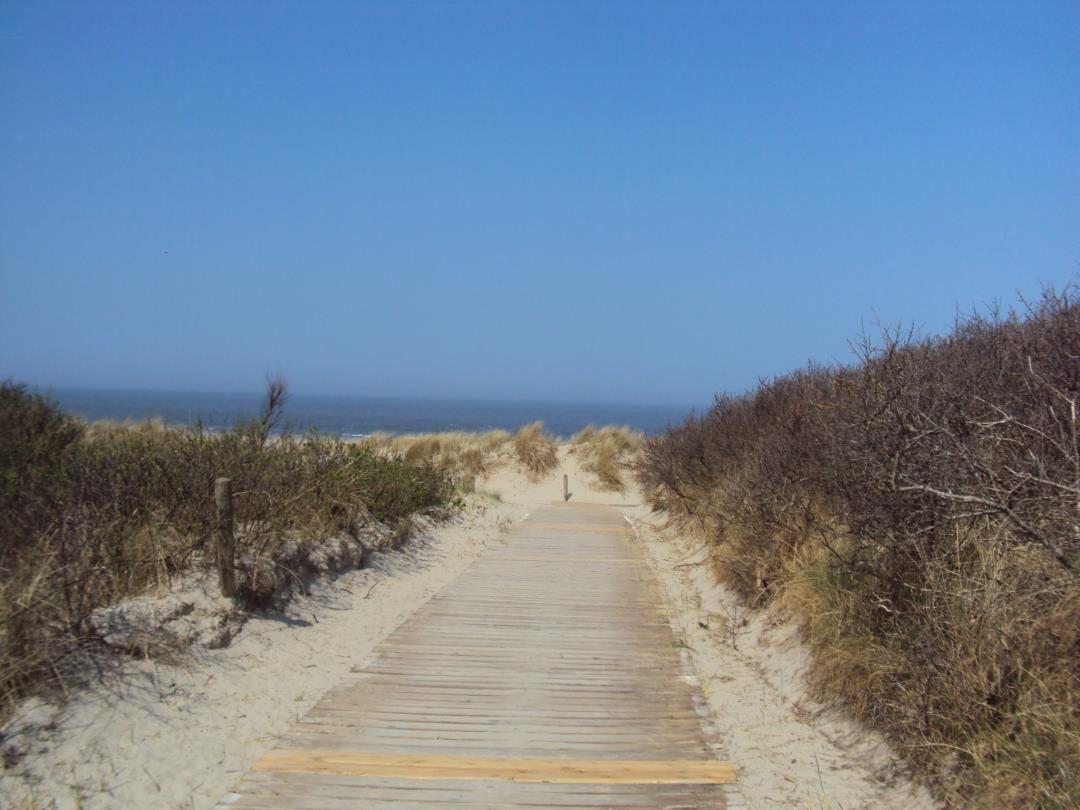 Holzweg führt durch Dünen zur See