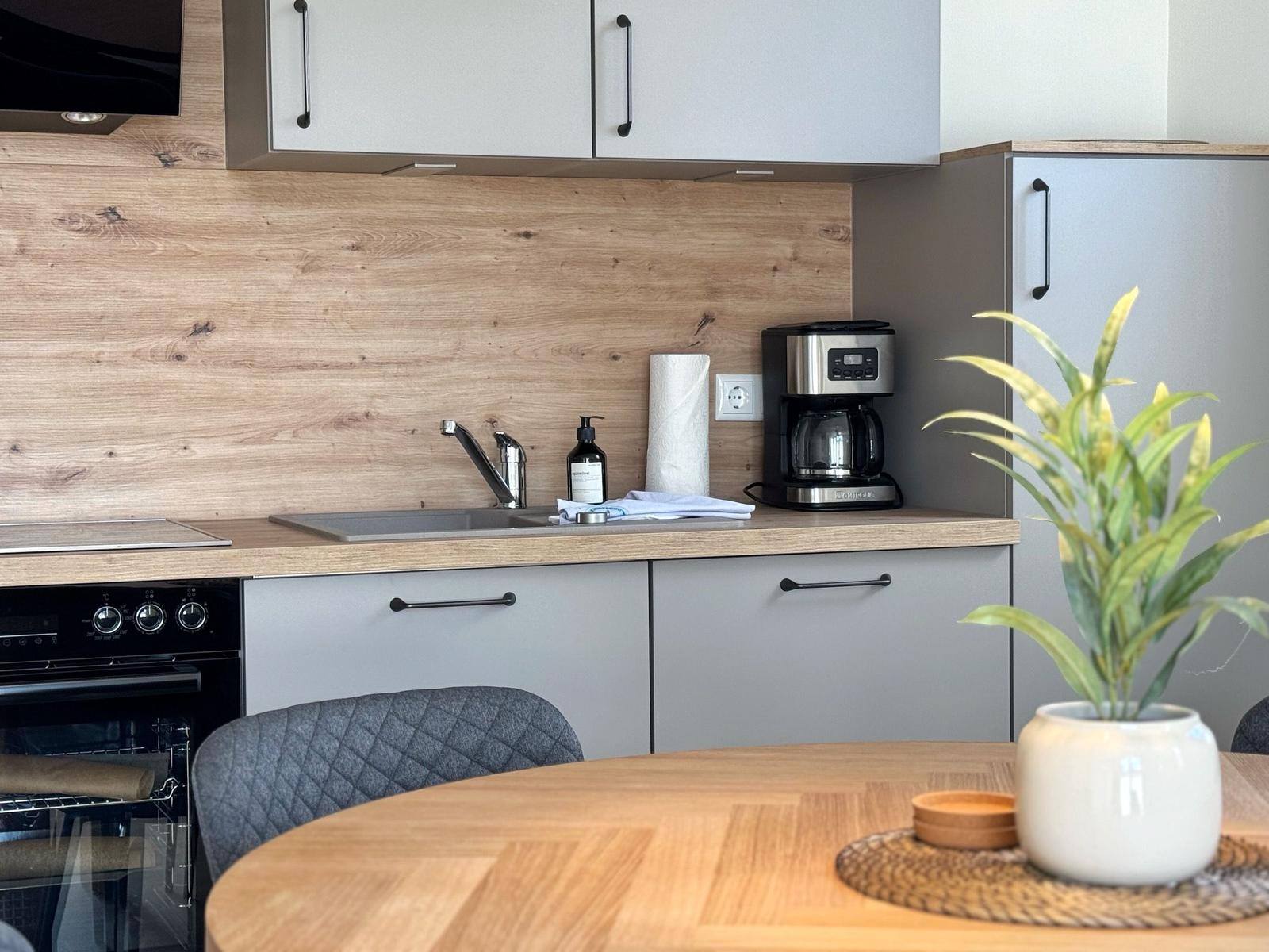 Küche mit Arbeitsfläche, Spüle, Kaffeemaschine und Pflanze auf Tisch