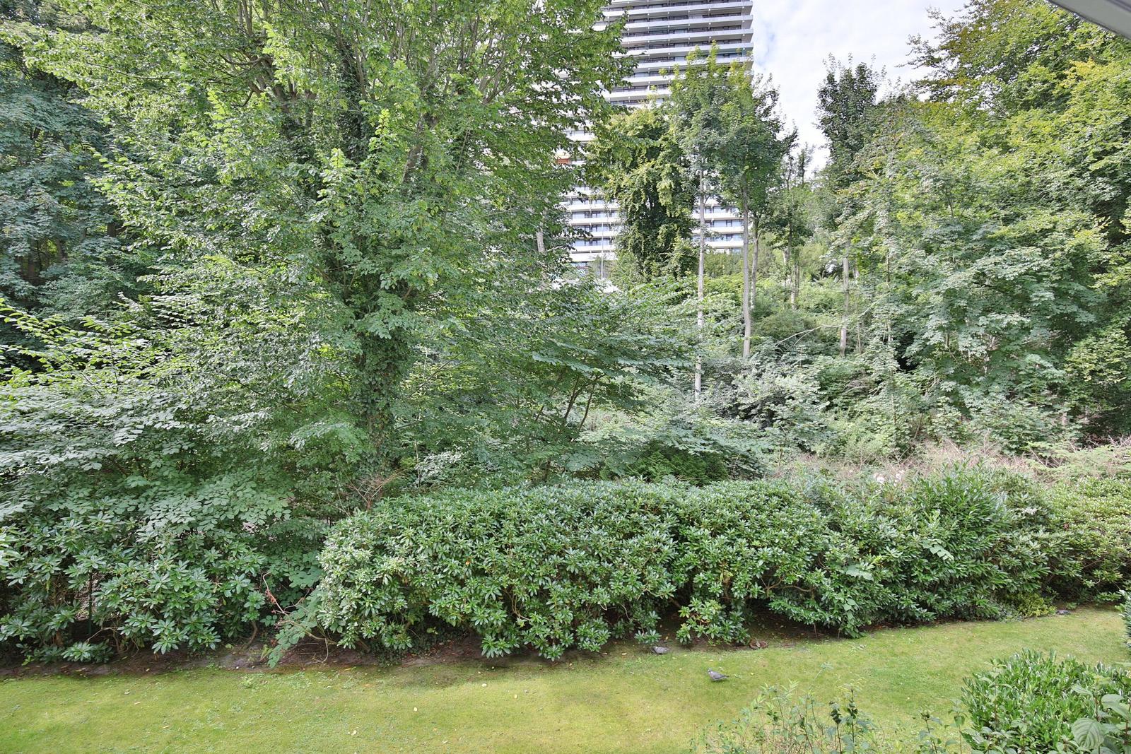 Grünflächen mit Büschen und Bäumen. Hochhaus im Hintergrund.