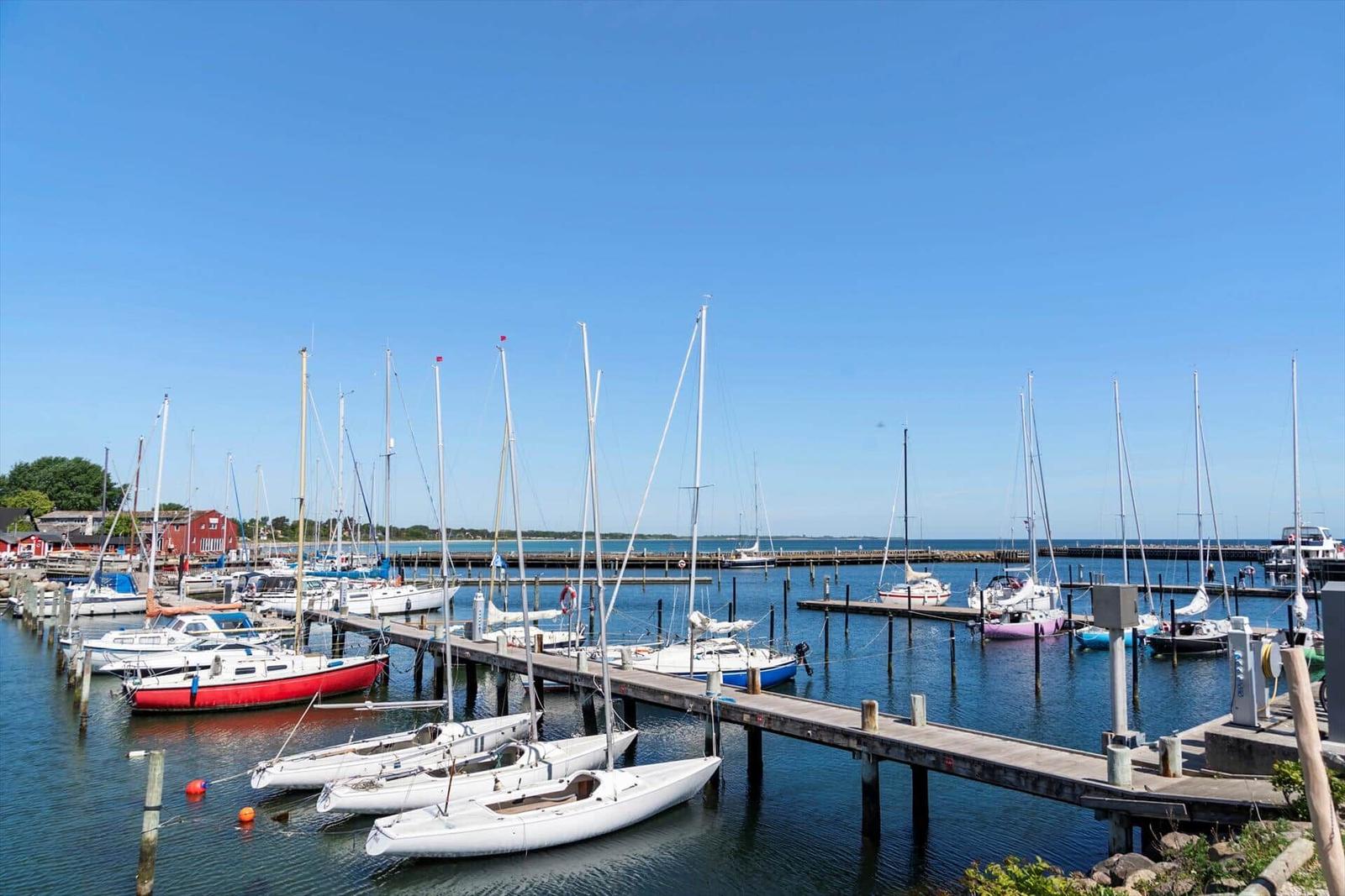 Hafen mit vielen Segelyachten und einem Steg unter blauem Himmel.