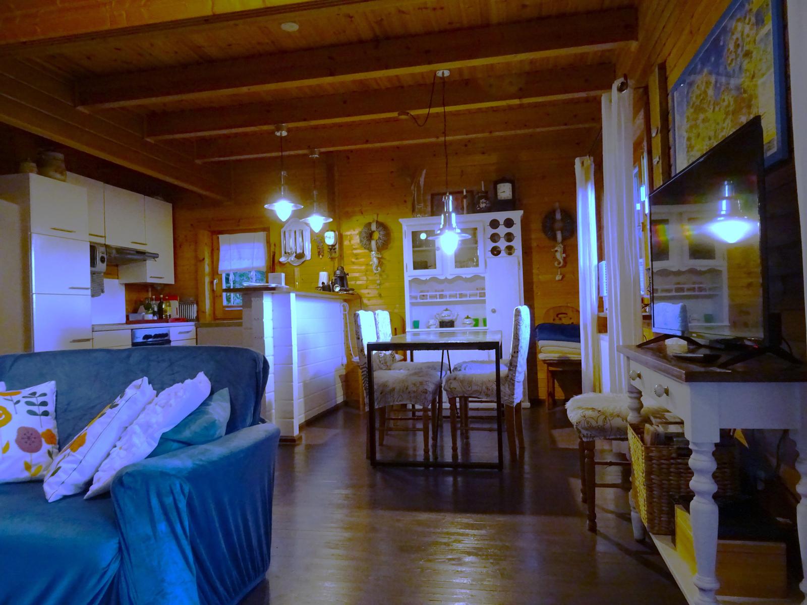Wohn- und Essbereich mit Küchenzeile und TV. Holzwände und -decke.
