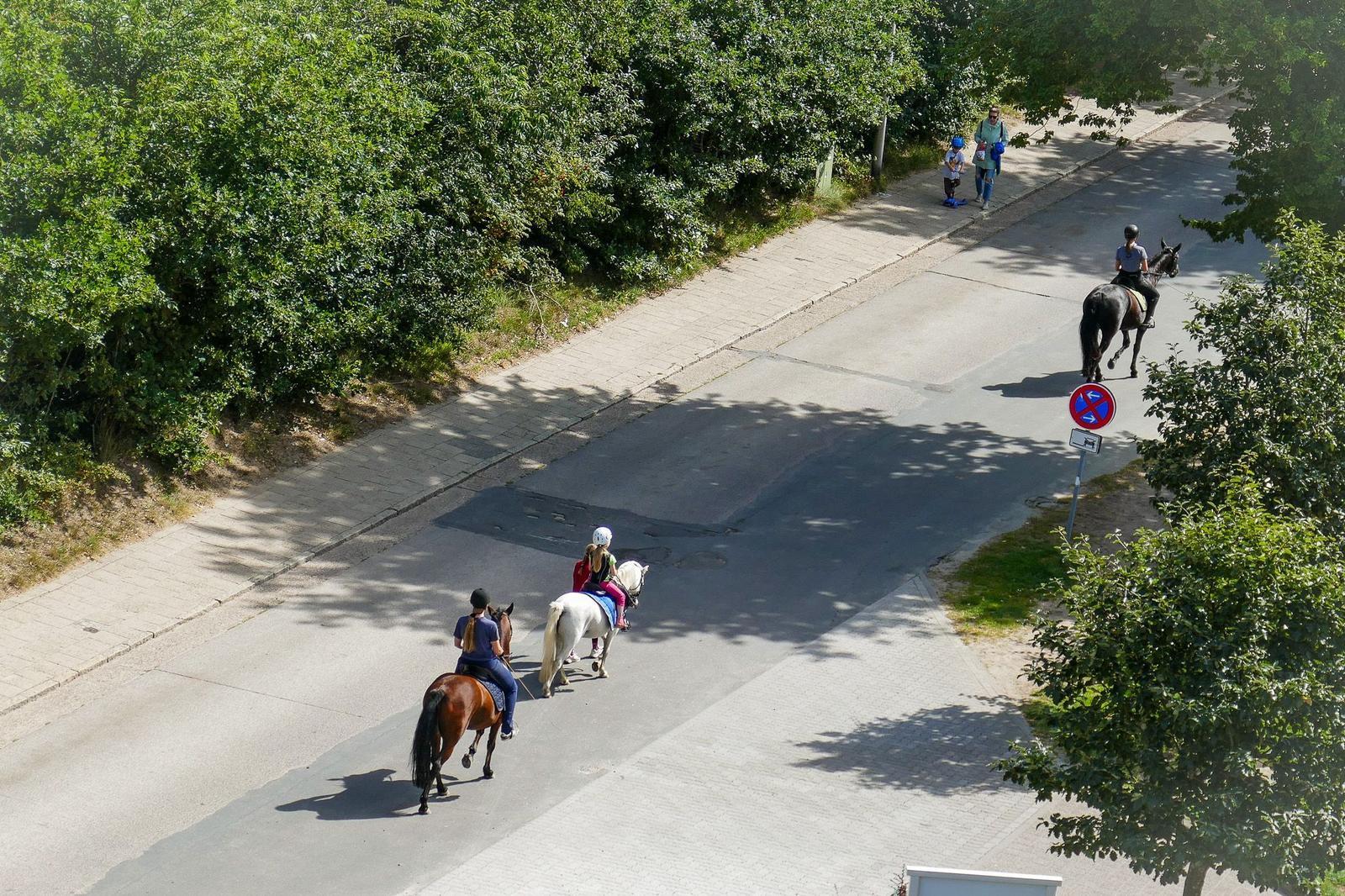 Reiter fahren mit Pferden auf einer Straße mit Bäumen und einem Verkehrsschild.