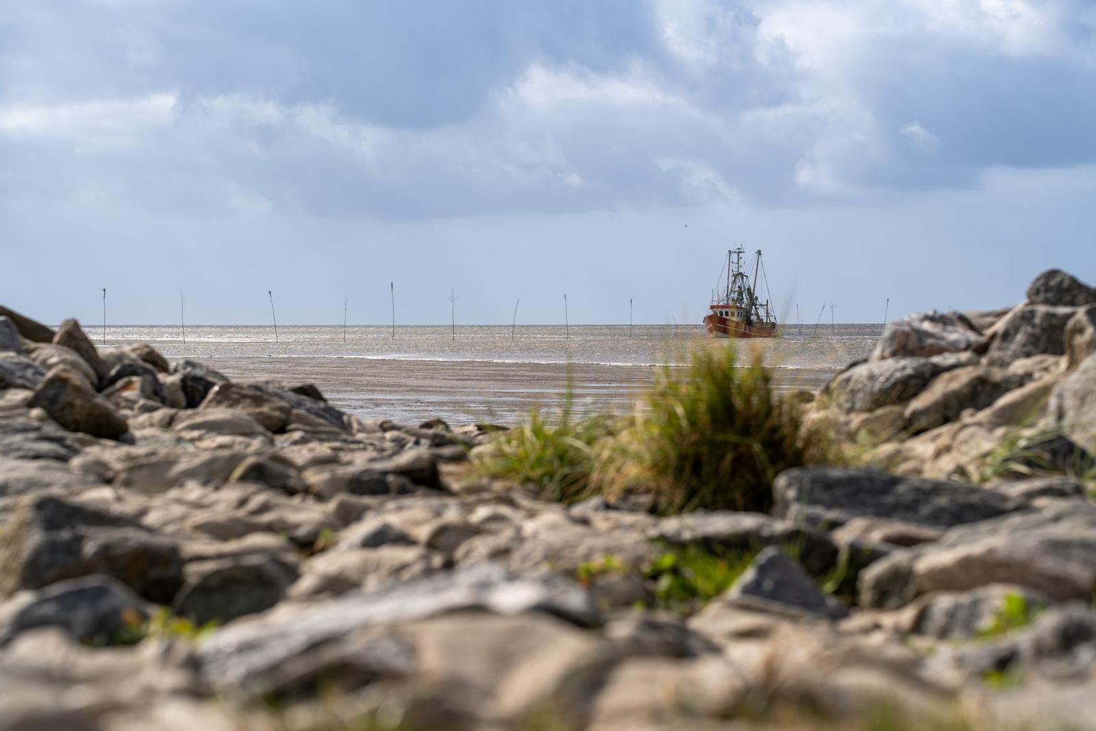Fischerboot auf dem Horizont vor einem steinigen Ufer