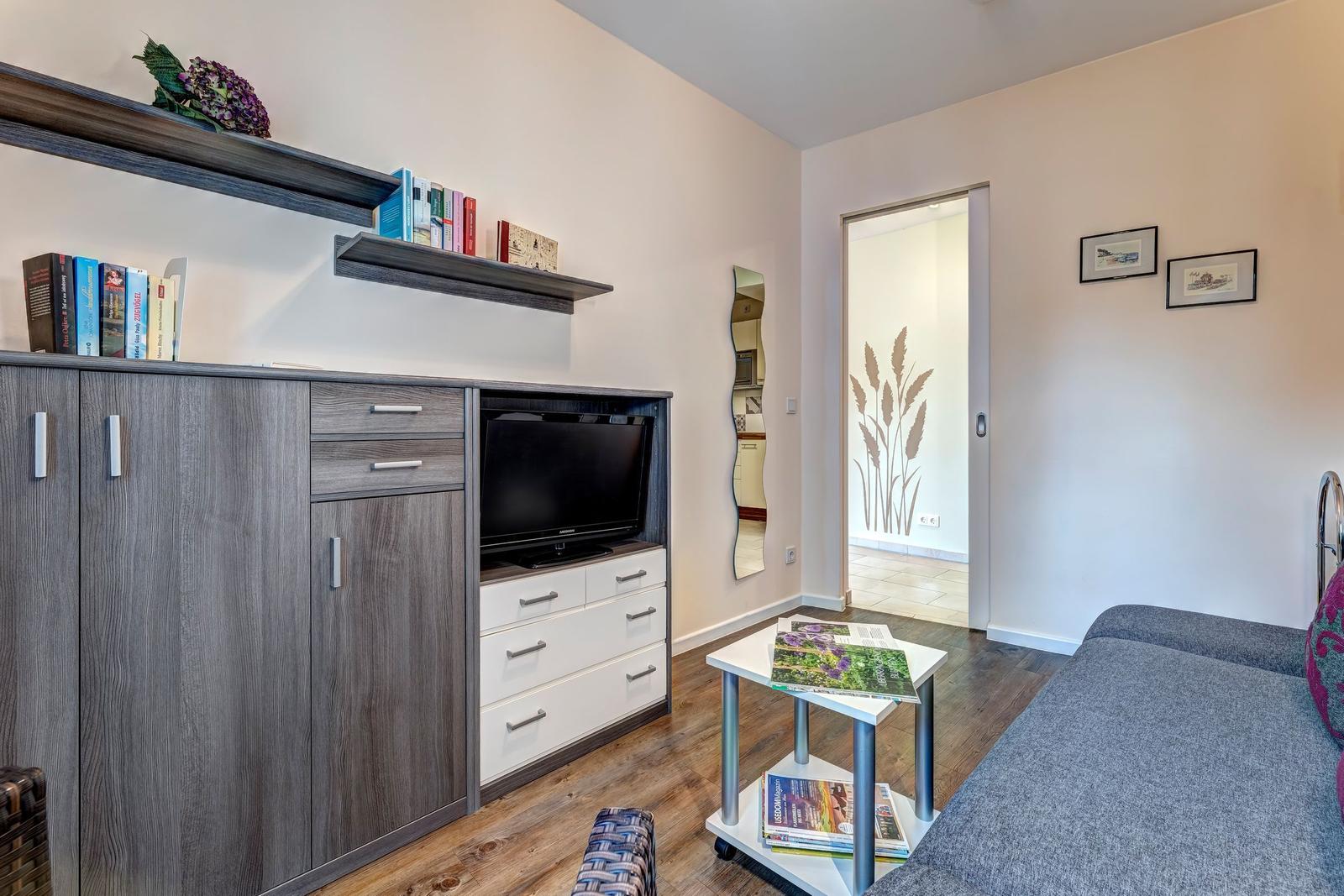 Wohnzimmer mit Sofa, TV-Schrank und Tisch. Tür führt in das Bad.