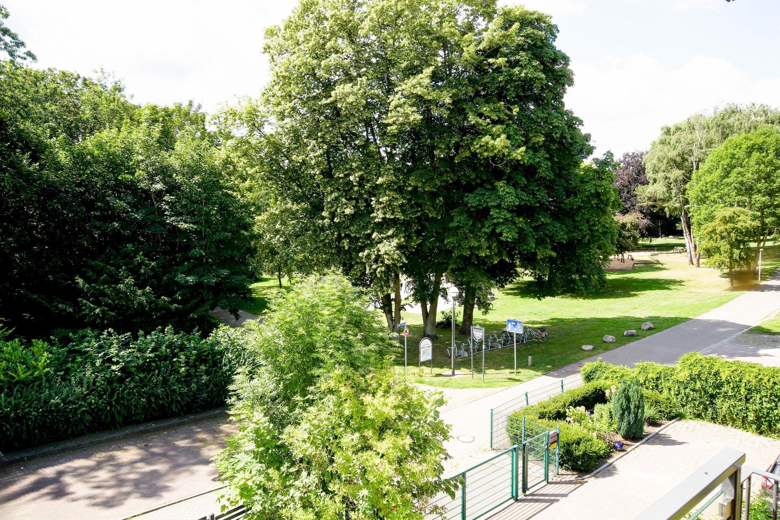 Grünanlage mit Bäumen, Wegen und Sitzgelegenheiten