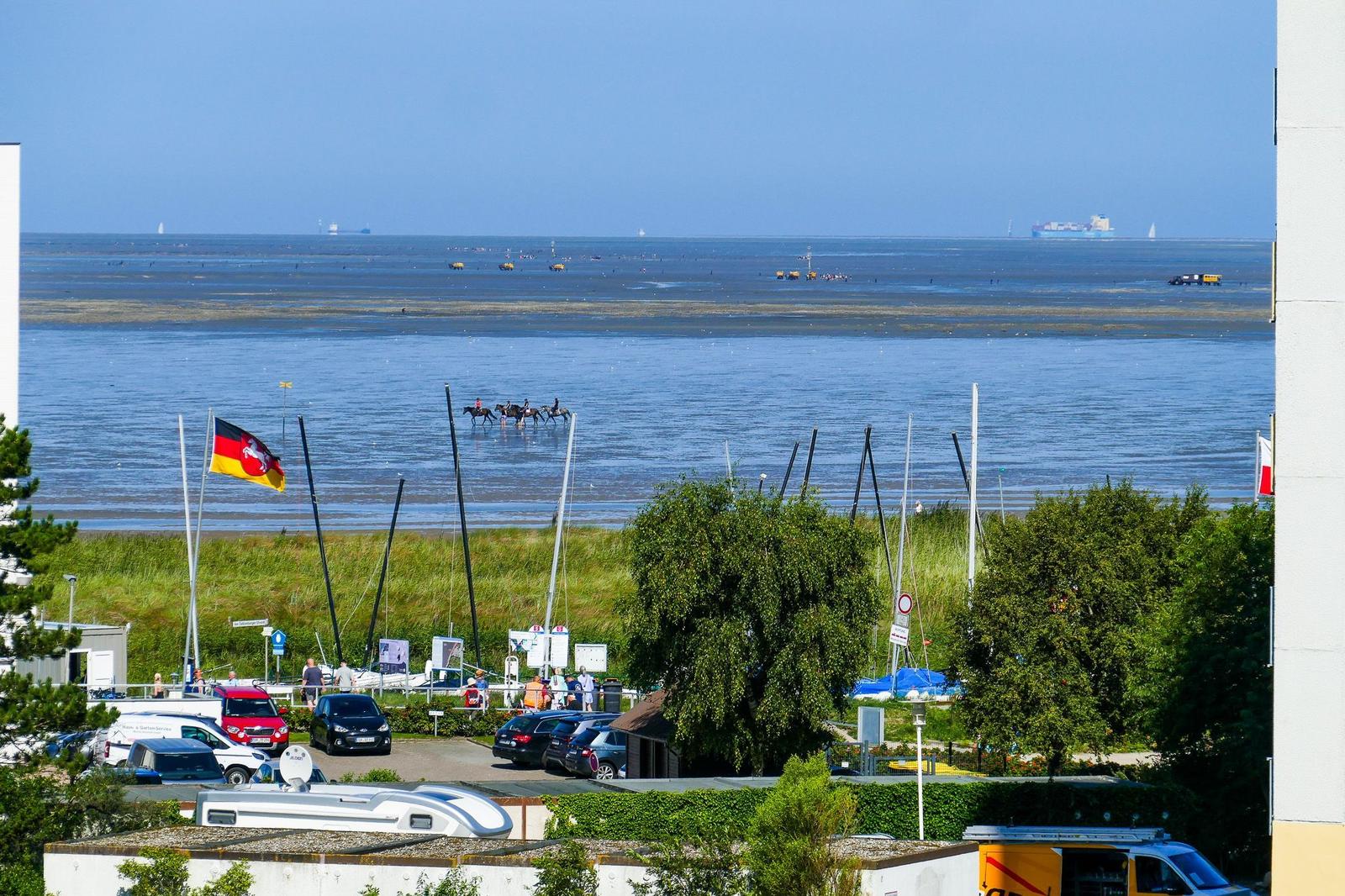 Meer mit Pferden im Wasser und Segelboote am Strand.