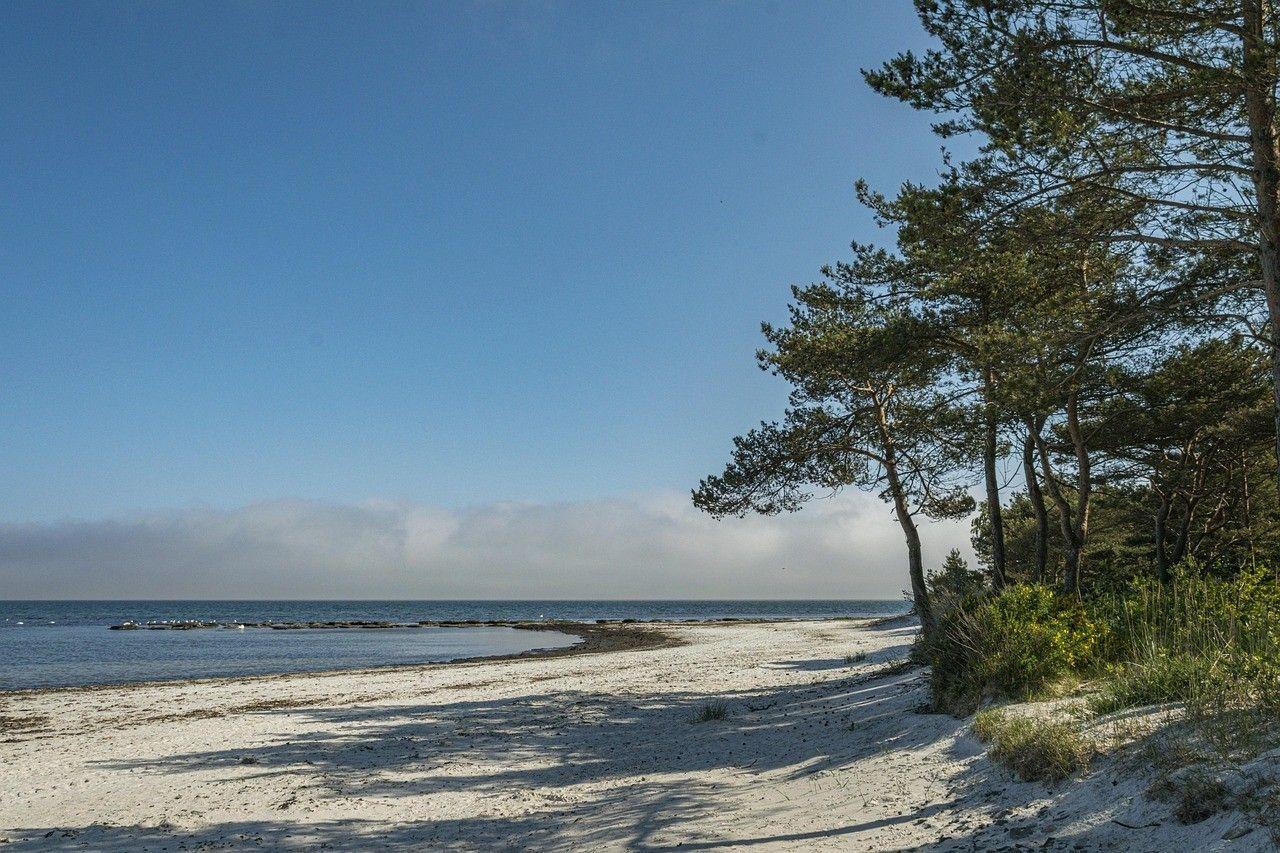 Weißer Sandstrand mit Pinien und Blick auf das Meer unter blauem Himmel.