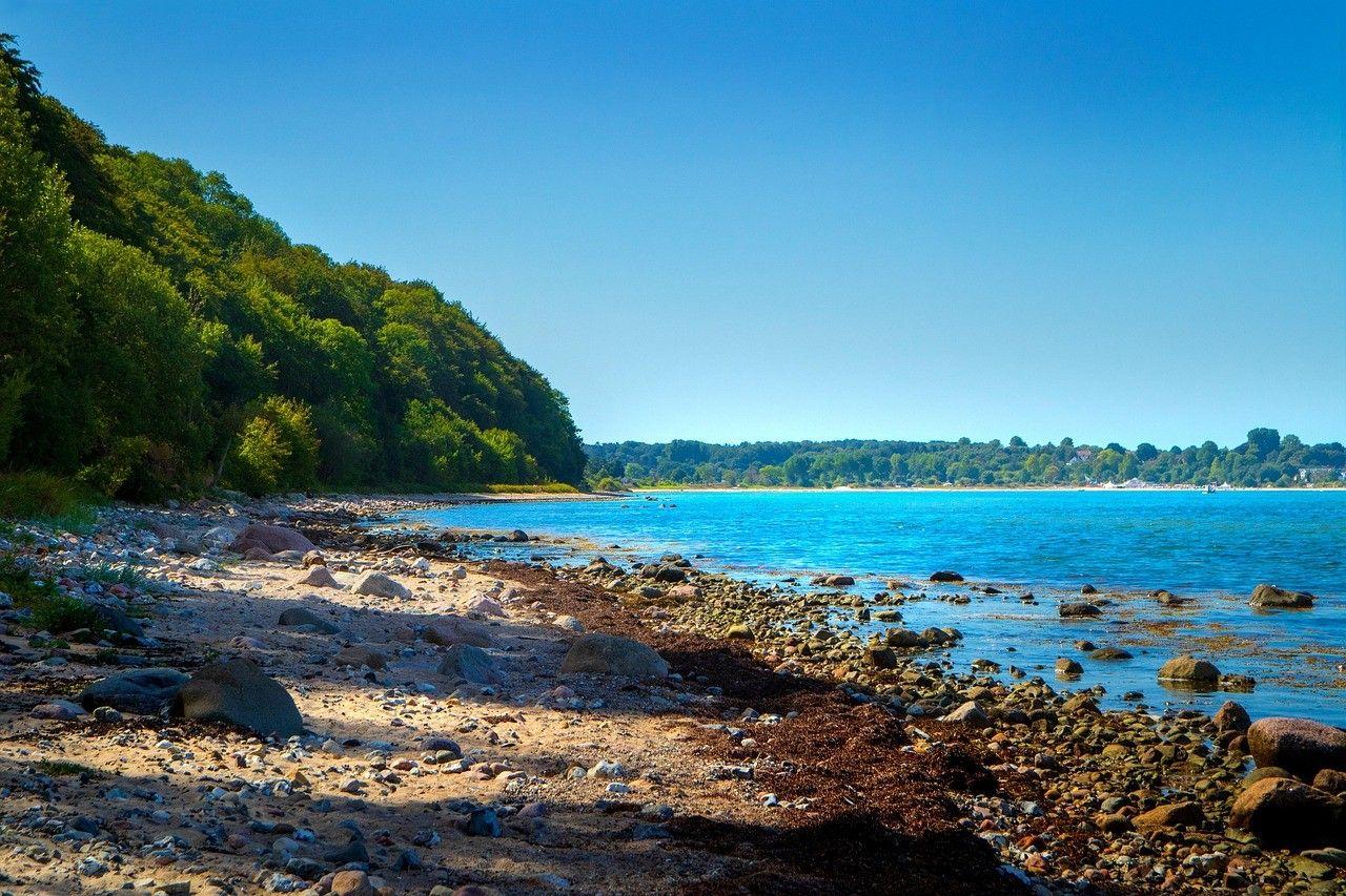 Steiniger Strand mit Wald und tiefblauem Wasser