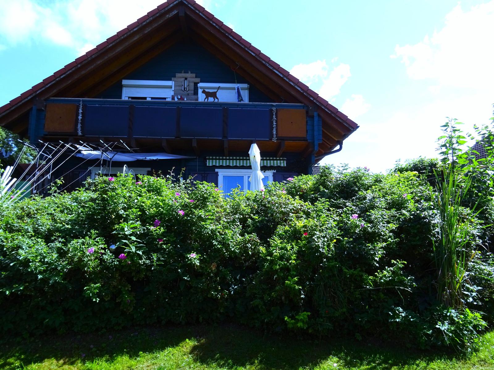 Haus mit Balkon, Blumenhecke und Sonnenschirm. Katzensilhouette auf Dach.