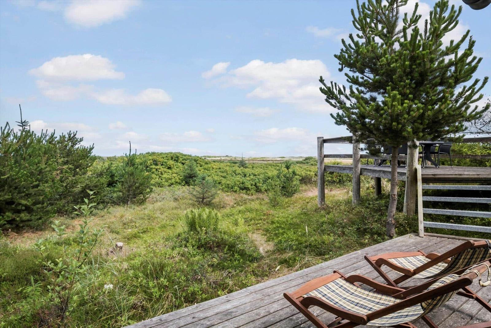 Holzterrasse mit Liegestühlen und Blick auf grüne Landschaft mit Nadelbäumen.