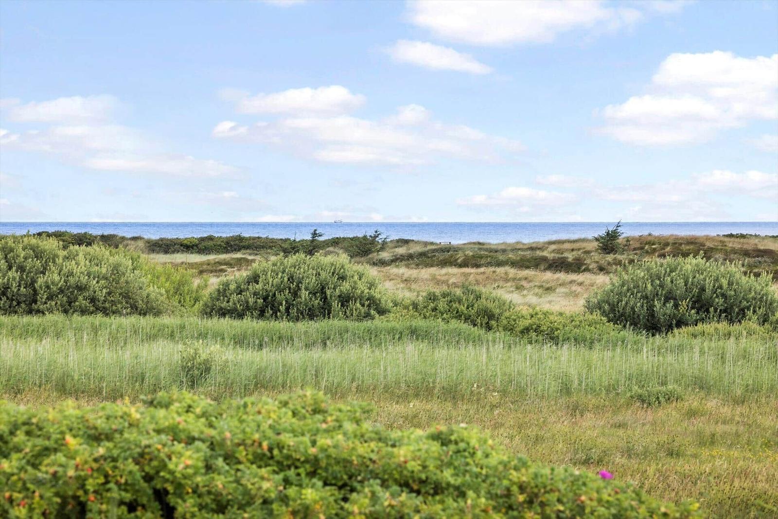 Grüne Wiesen und Büsche führen zum Meer unter blauem Himmel mit weißen Wolken.