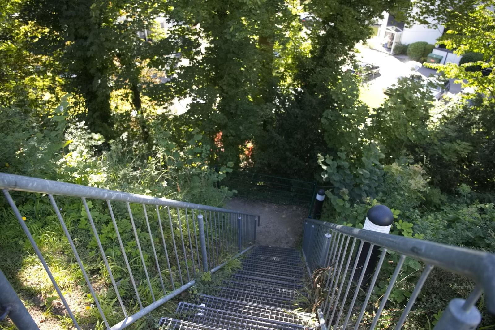 Metalltreppe mit Geländer führt durch grüne Vegetation nach unten.