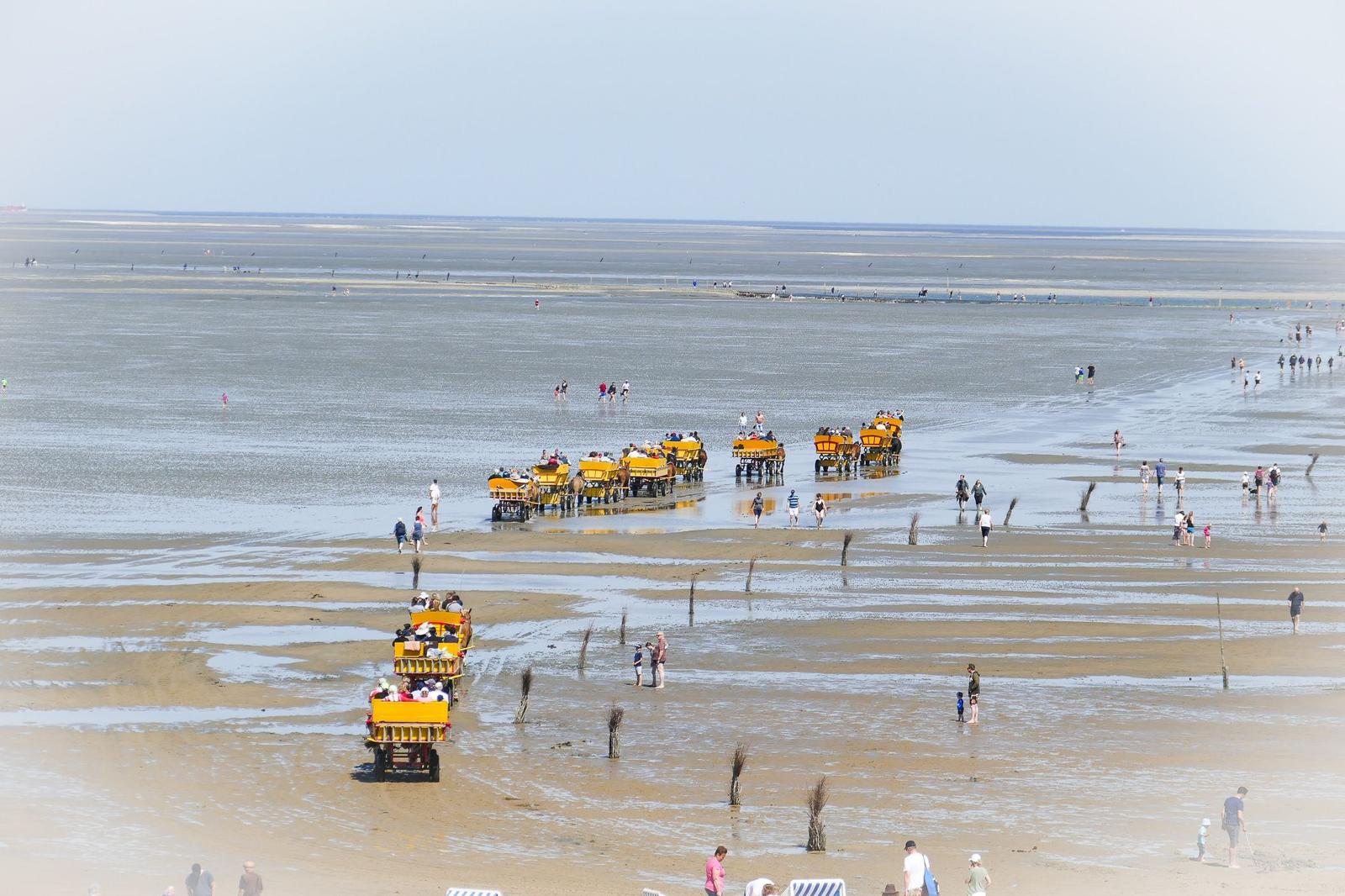 Mangrovenküste mit Besuchern und gelben Booten im flachen Wasser.