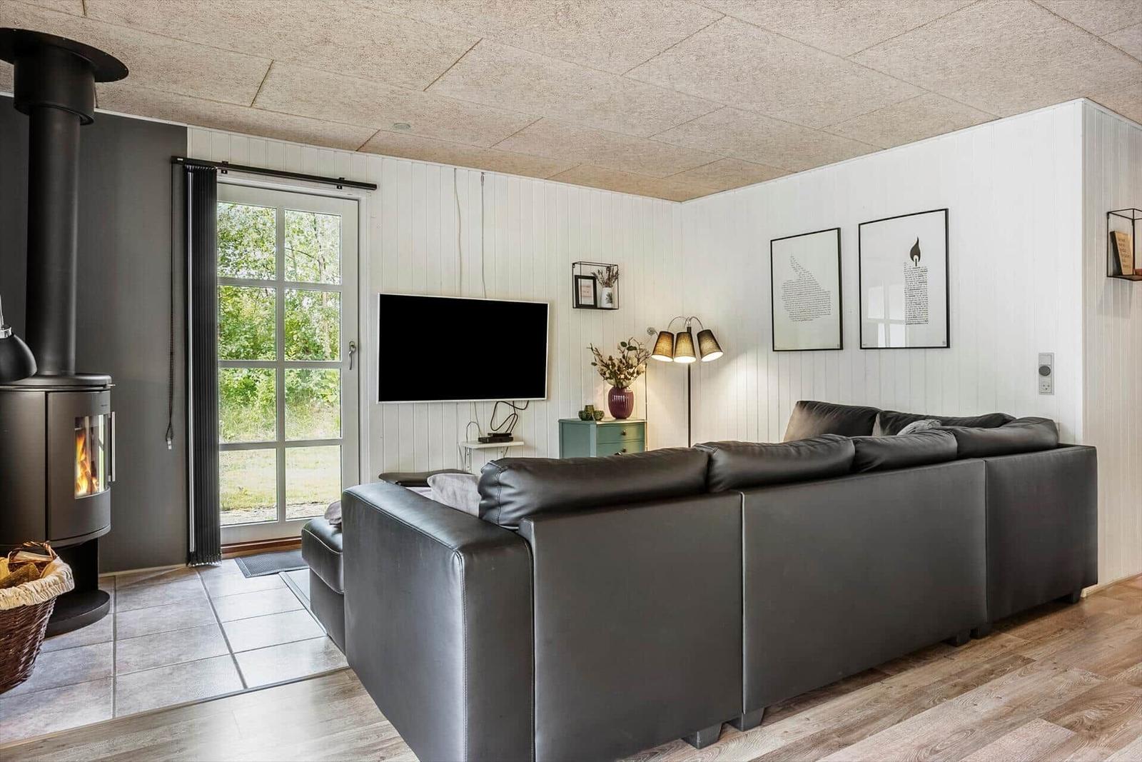 Living room with sofa, TV, and wood stove. Window to outside.