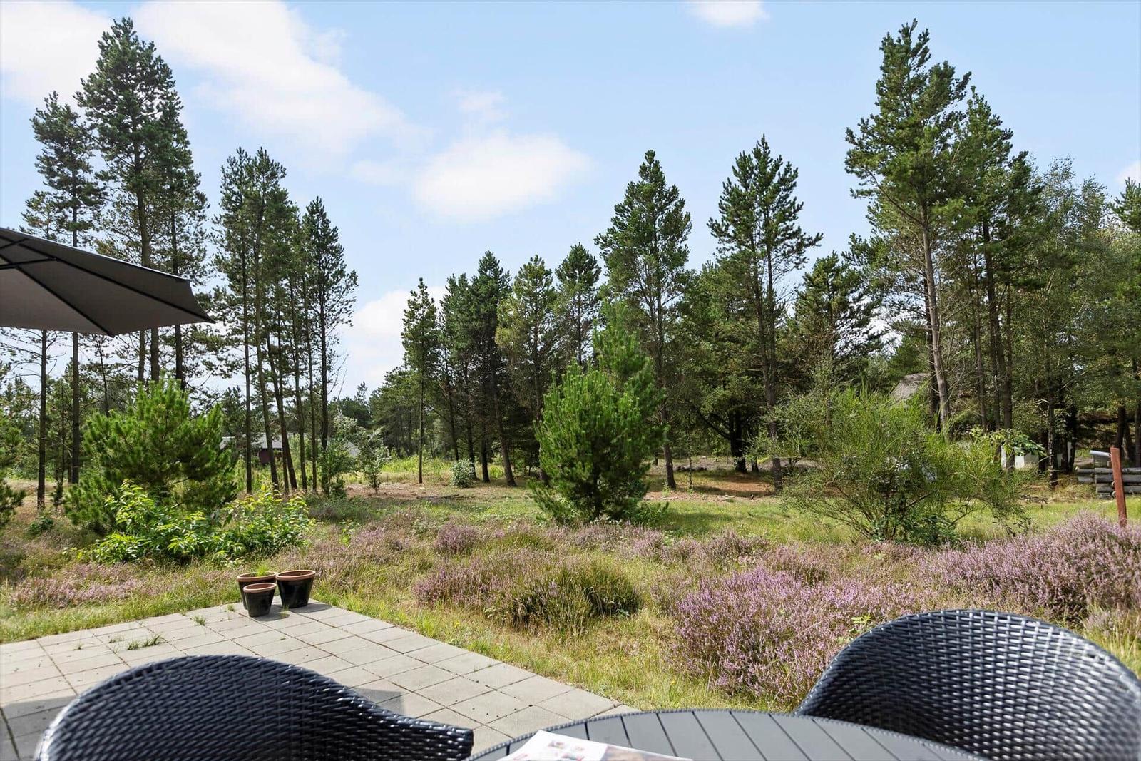 Terrasse mit Tischen und Stühlen, Blick auf einen Wald mit Heideflächen.