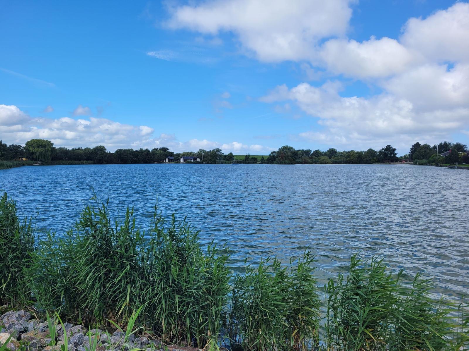 Ein ruhiger See mit Ufervegetation und Bäumen im Hintergrund unter blauem Himmel mit weißen Wolken.