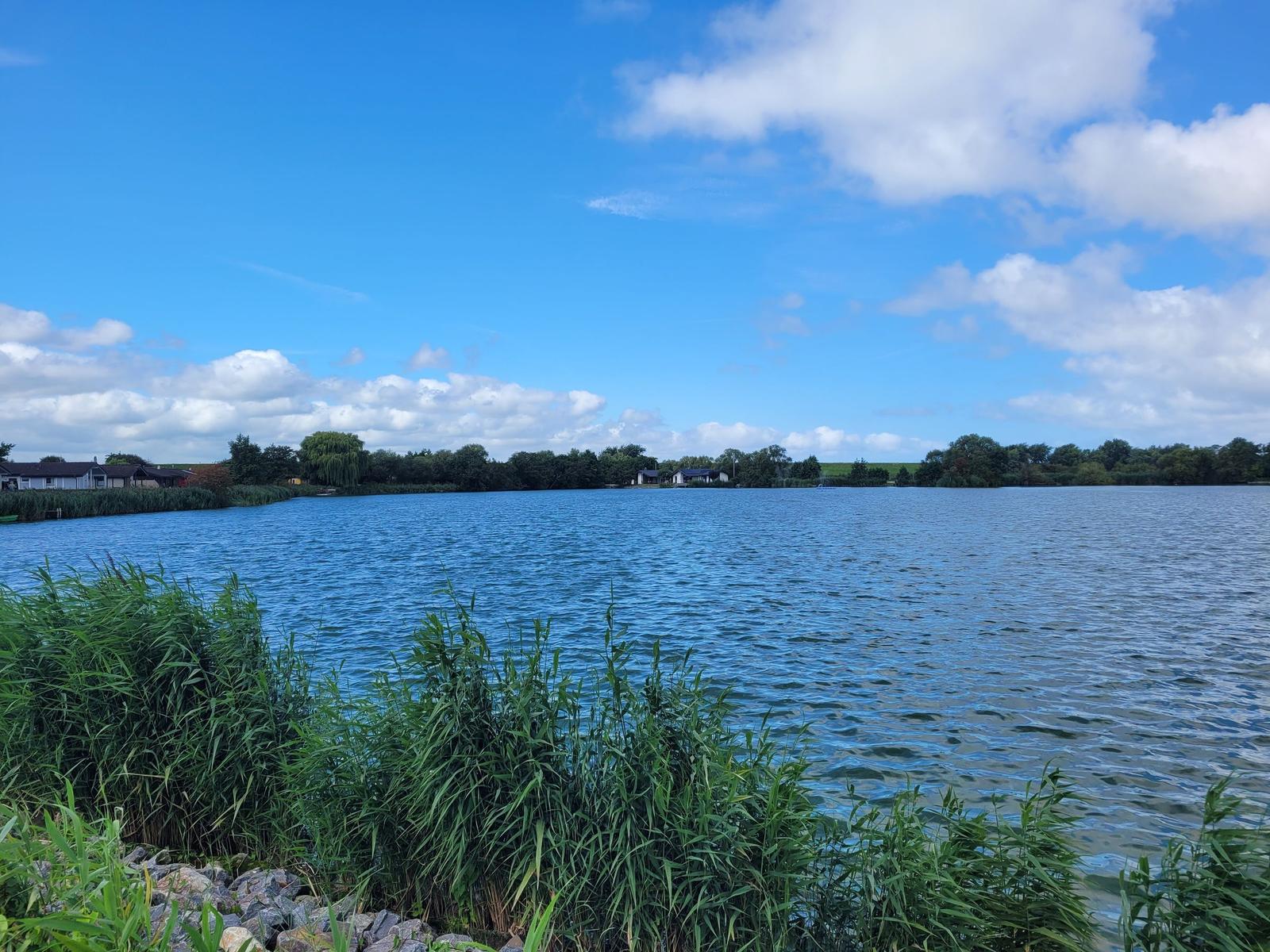 Ein ruhiger See mit Ufervegetation und Häusern im Hintergrund unter blauem Himmel.