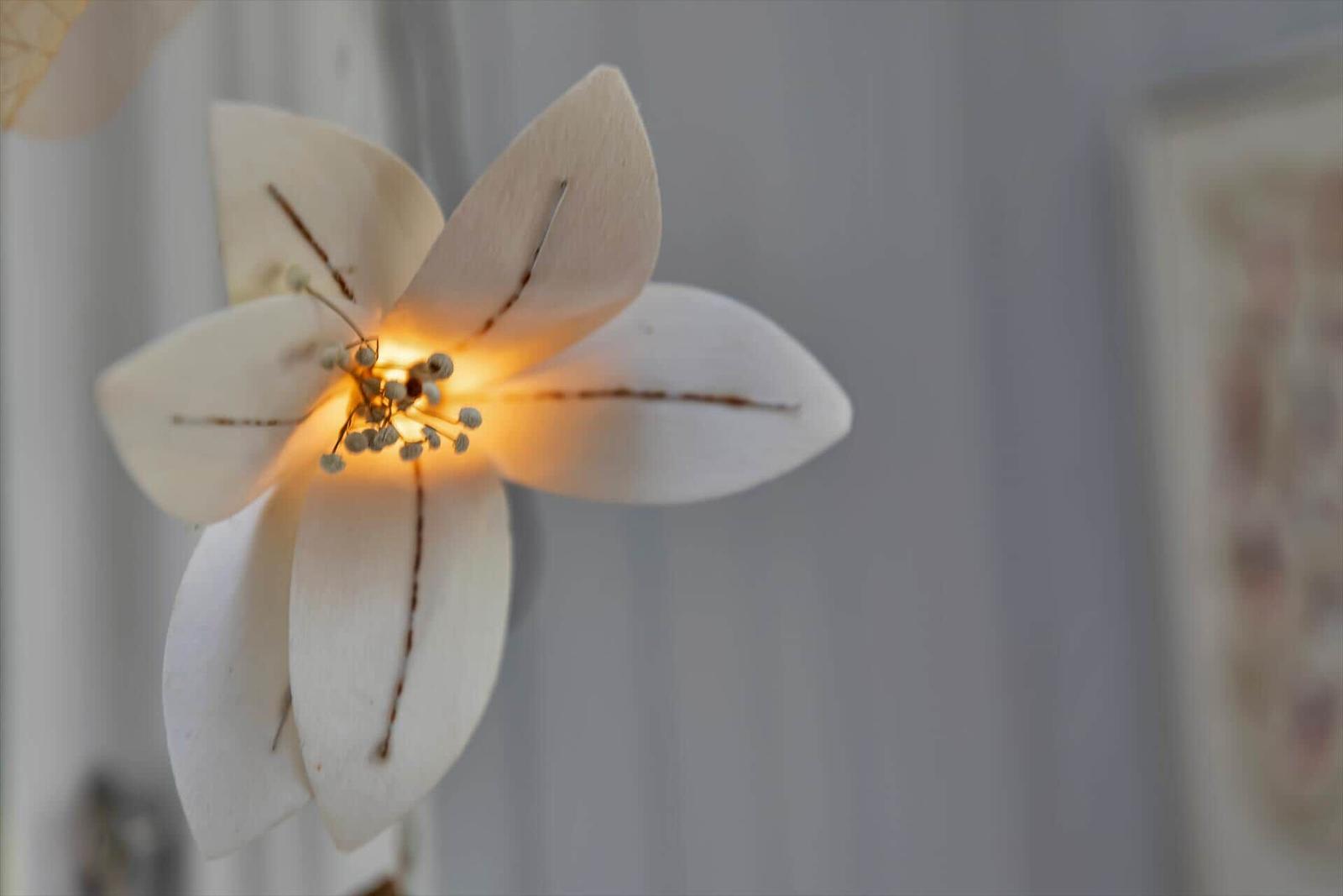 Eine weiße Blumendekoration mit Licht in einem Raum.