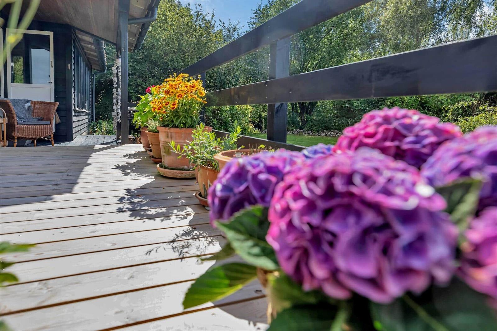 Terrasse mit Holzdielen und Pflanzen in Töpfen, Blick auf grünen Garten.
