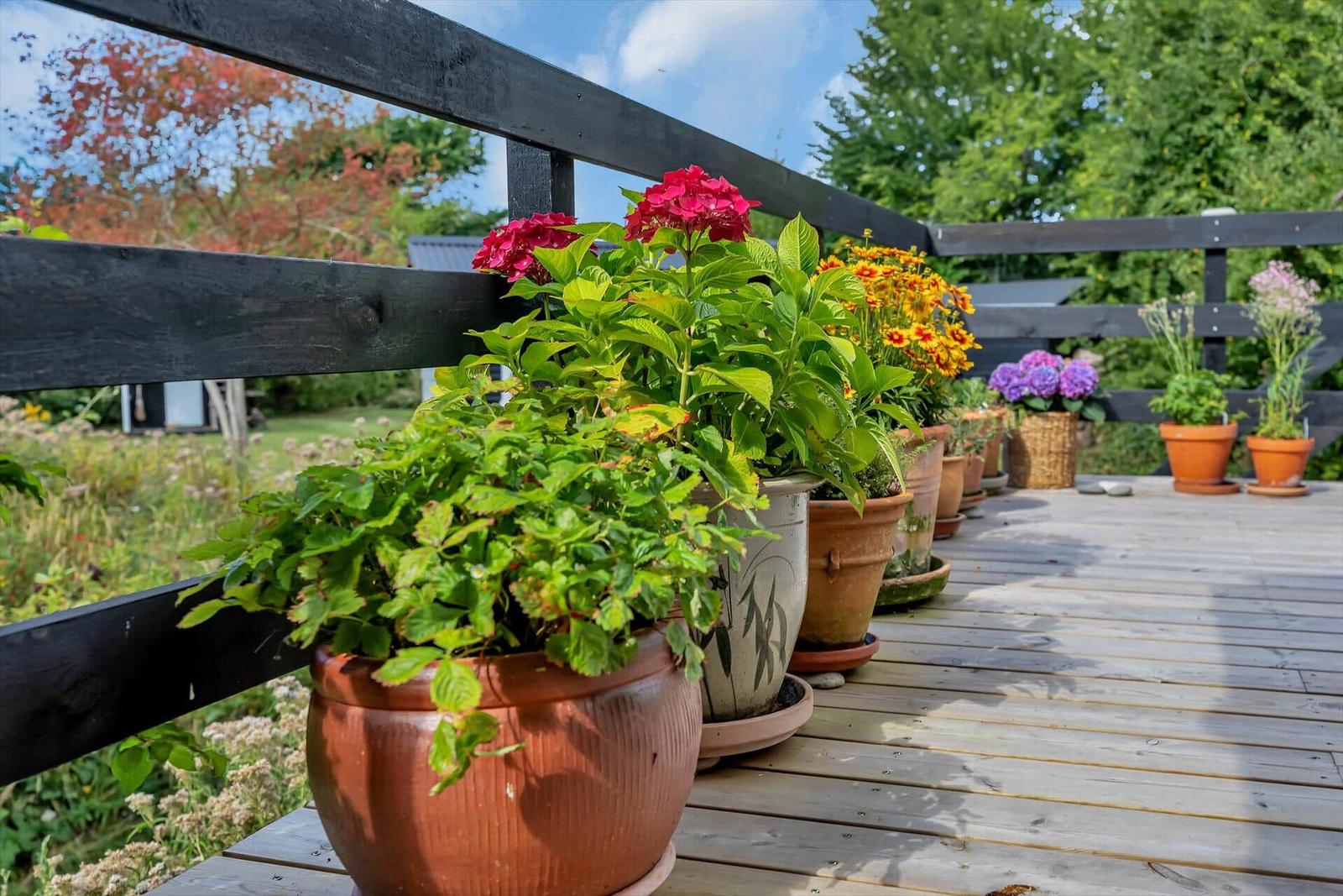 Terrasse mit Pflanzen in Töpfen und Holzgeländer