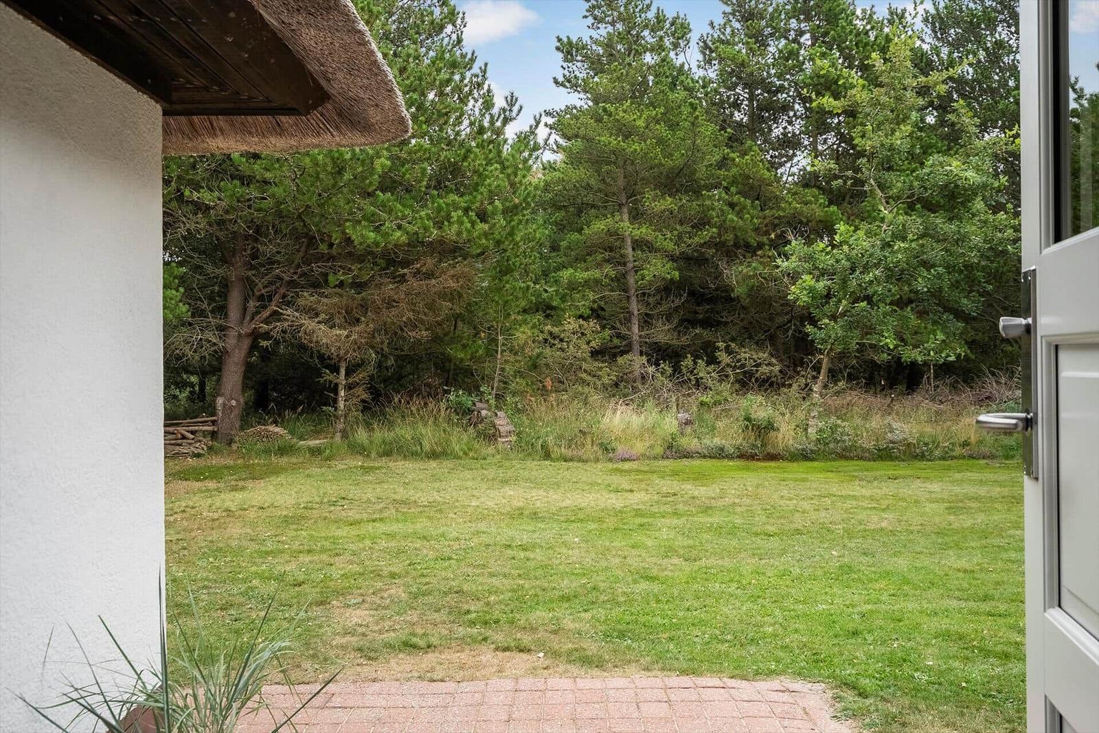 Hinterhof mit Rasen und Wald. Blick von der Haustür.