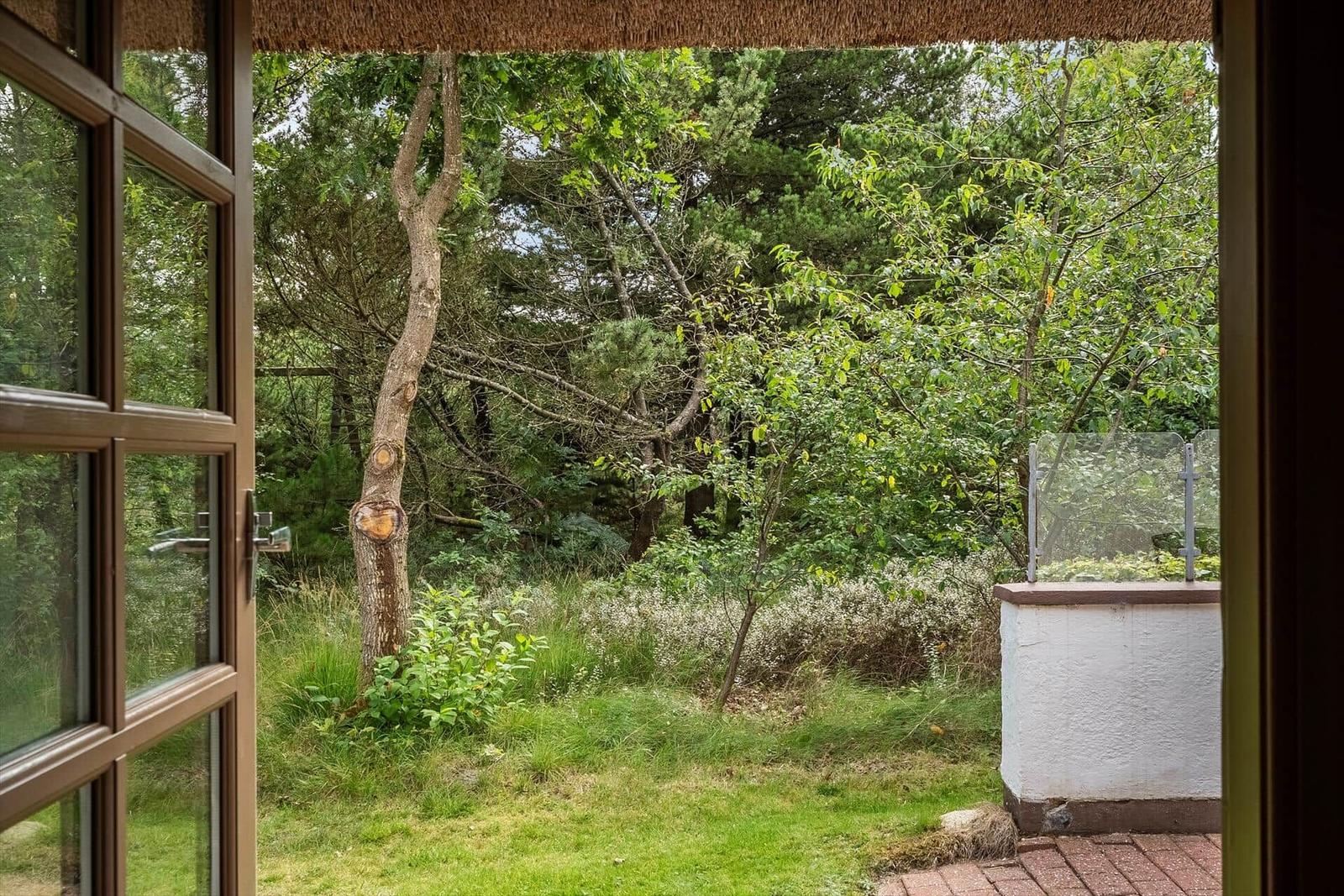 Durch offene Tür blickt man auf grünen Garten mit Bäumen und Sträuchern.