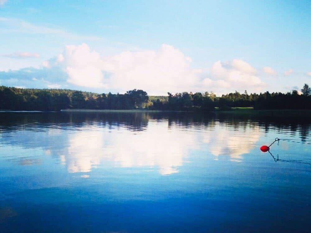 Stiller See mit Wald am Ufer und rotem Schwimmer im Wasser.
