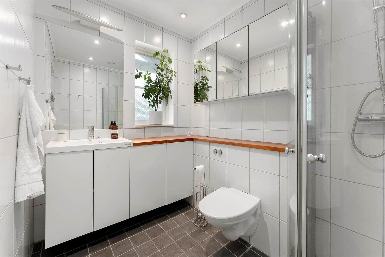 Badezimmer mit Dusche, Waschbecken und Toilette. Holz-Arbeitsplatte und Pflanze.