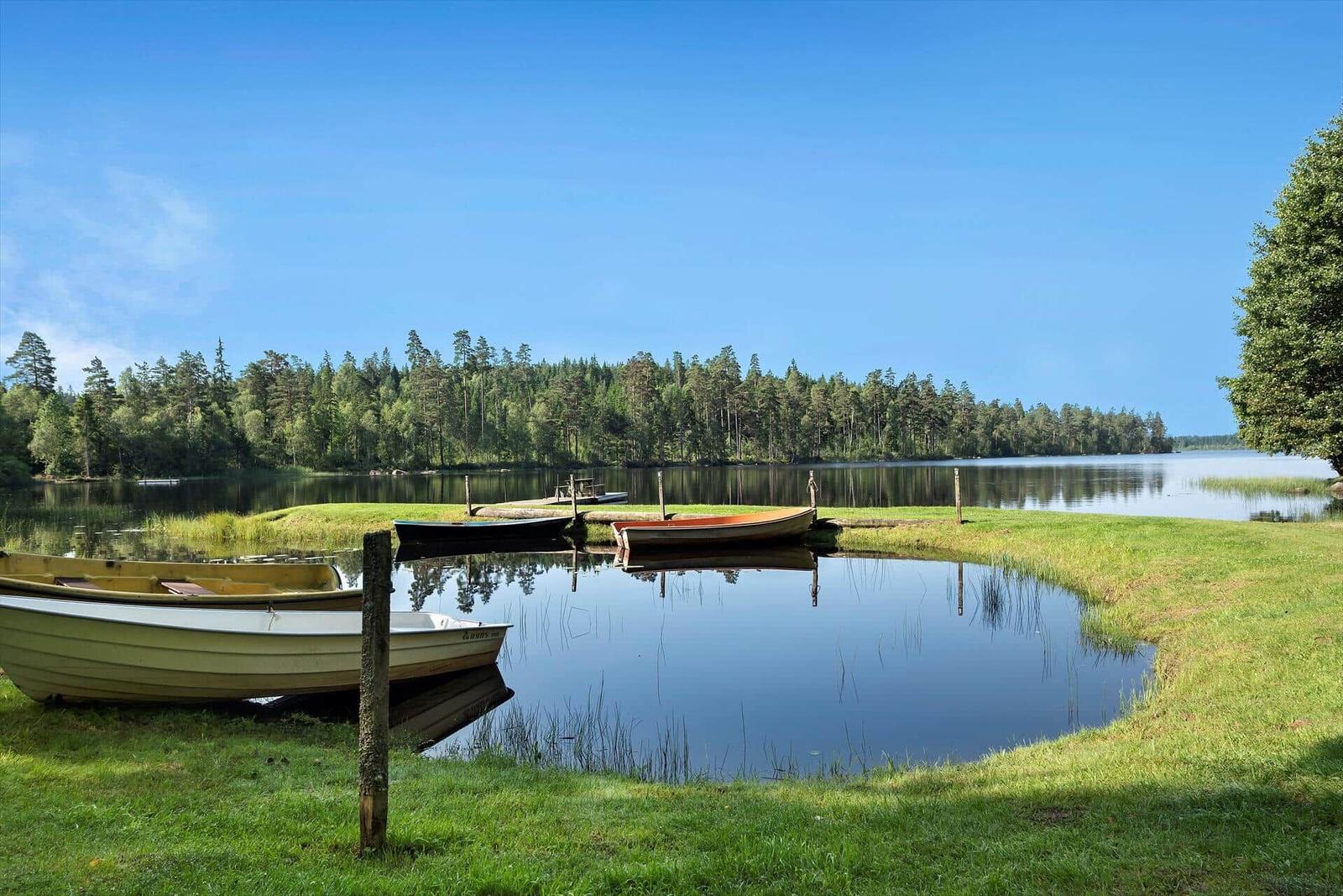 Bootshafen am See mit grünem Ufer und Wald im Hintergrund.