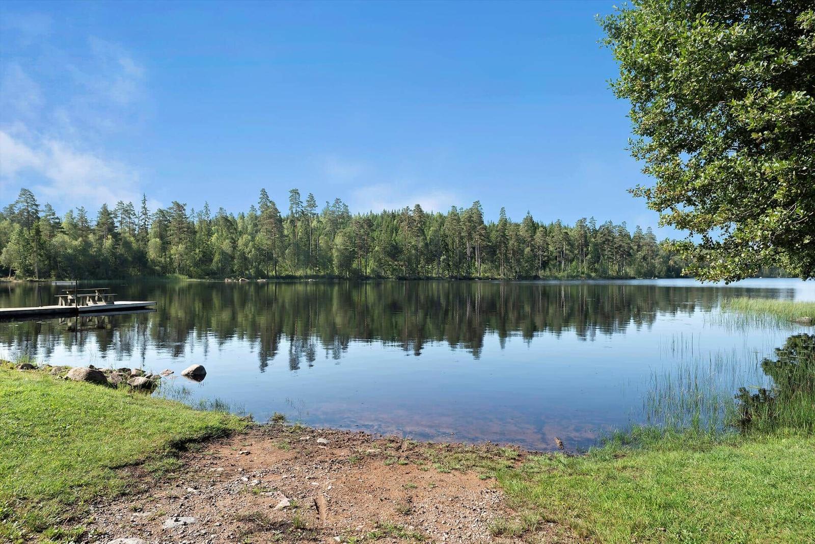 Seeufer mit Holzsteg und Waldreflexionen im klaren Wasser.