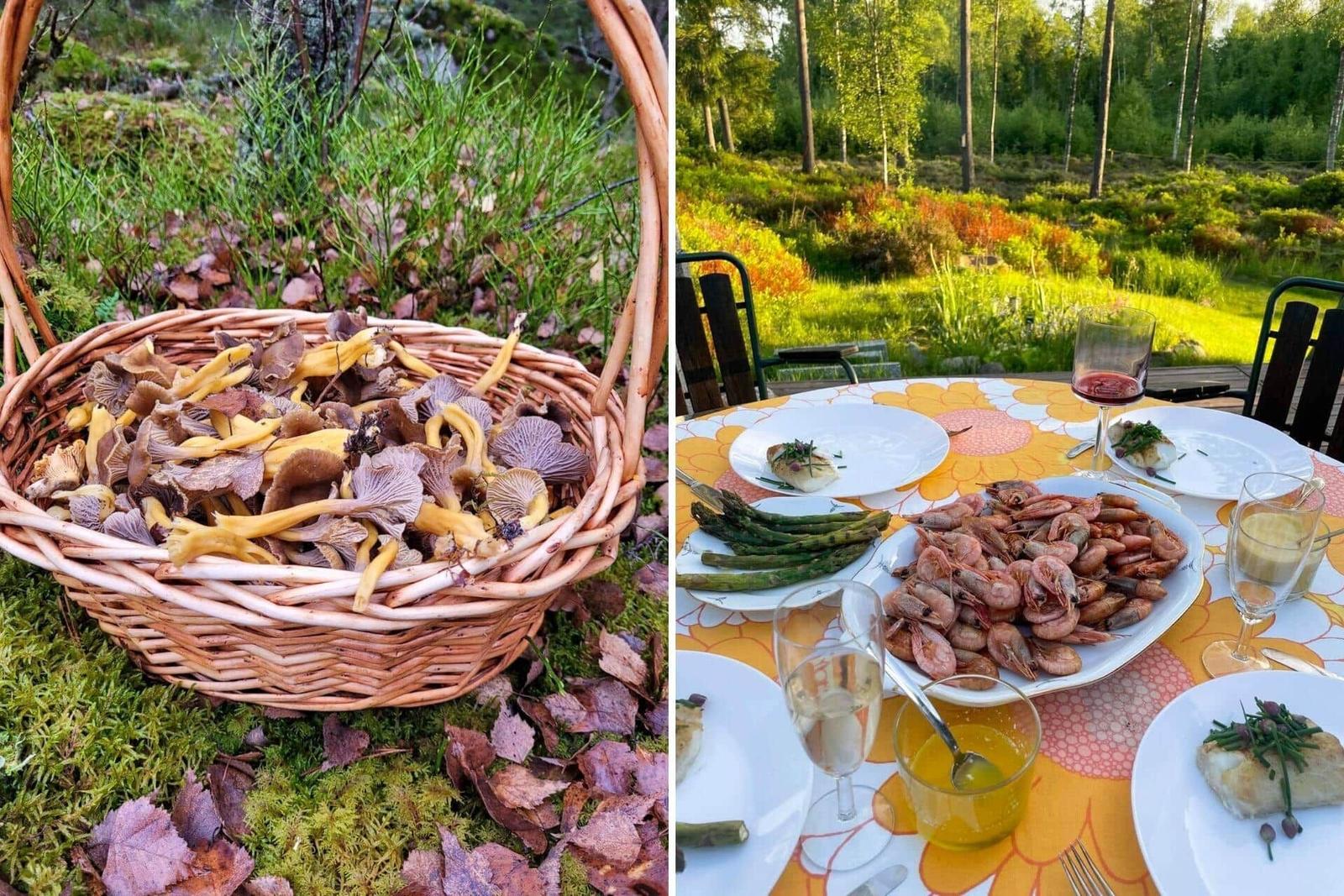 Ein Korb mit Pilzen im Wald und ein gedeckter Tisch mit Speisen im Freien.