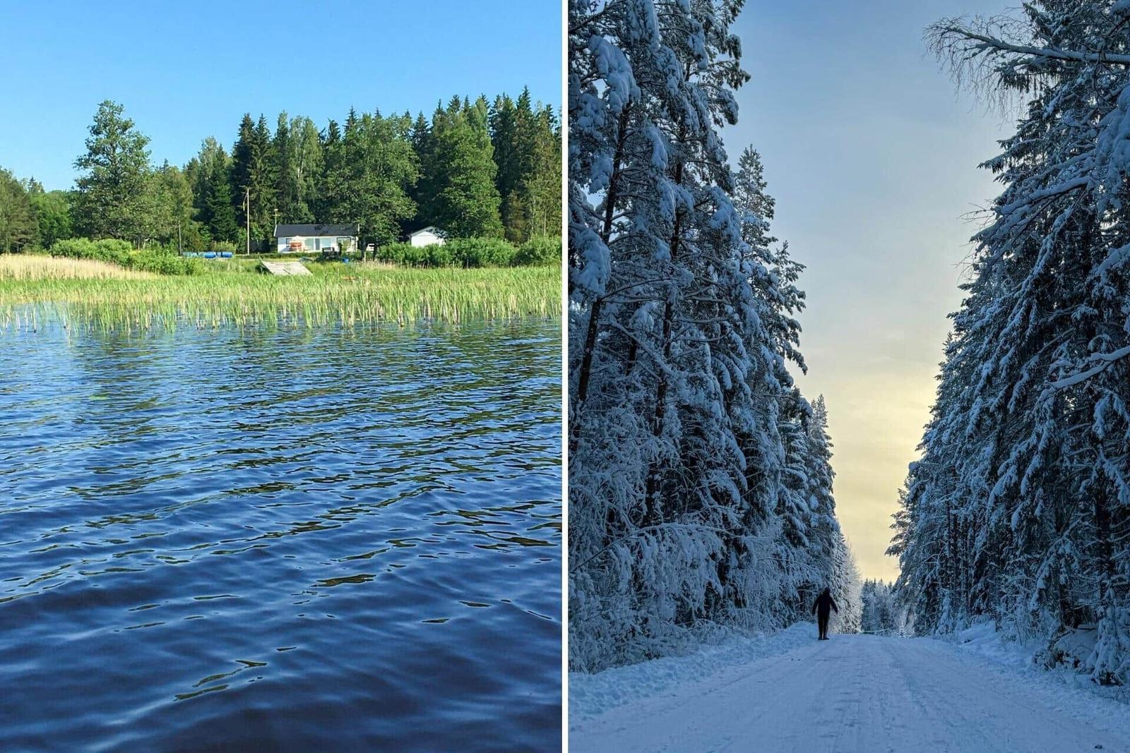 Seeuferhaus mit Wald und Schneeweg durch verschneite Bäume.