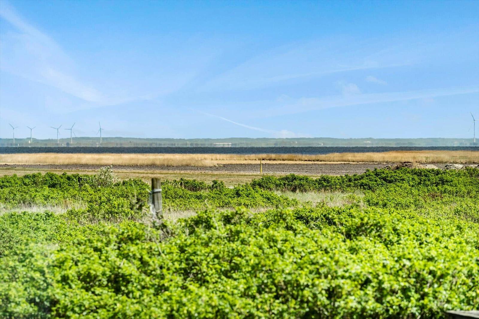 Green bushes in foreground, fields and wind turbines under blue sky.
